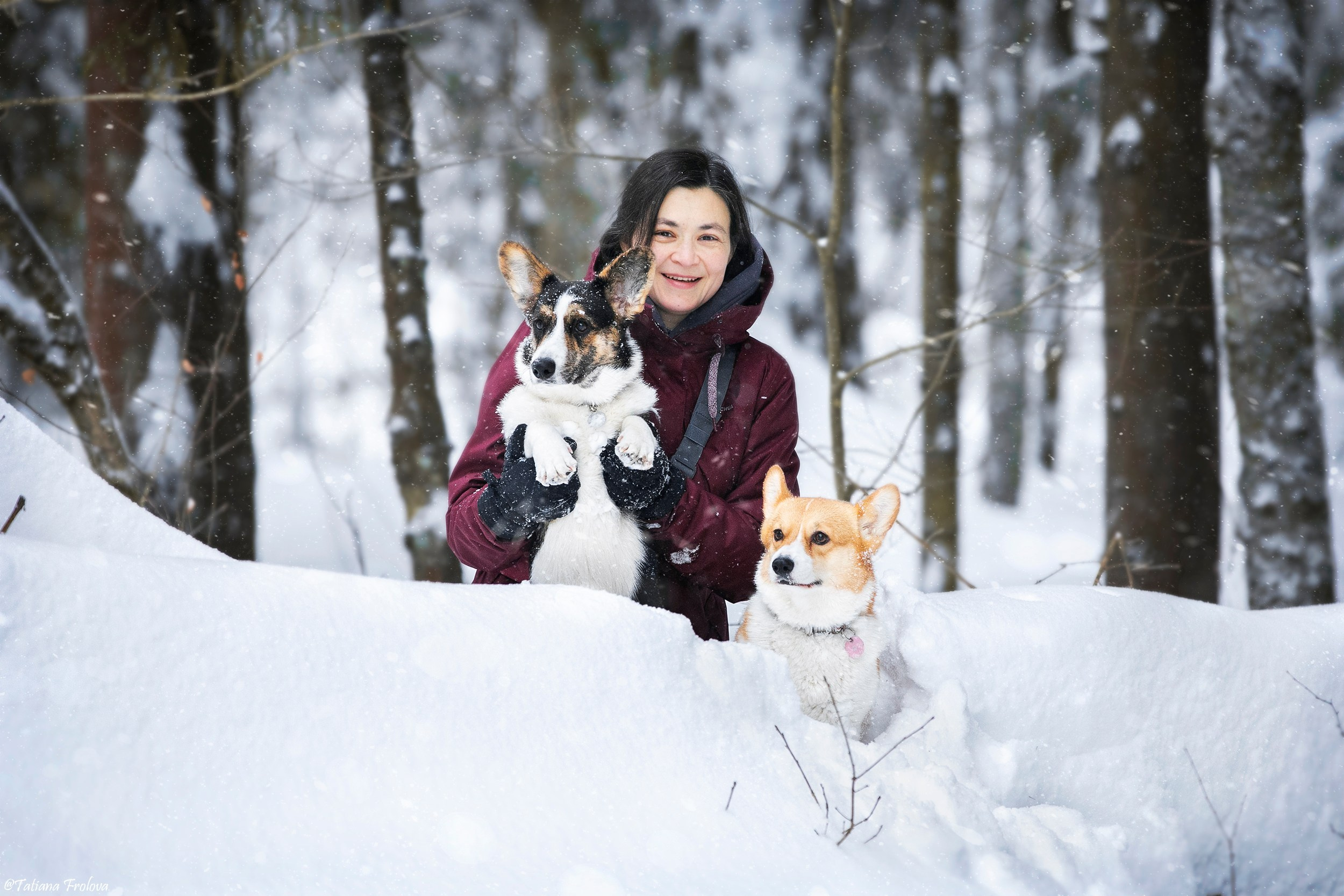 Фотосессия с собаками в зимнем лесу в Пушкино. Фотограф-анималист в Москве и Московской области Татьяна Фролова