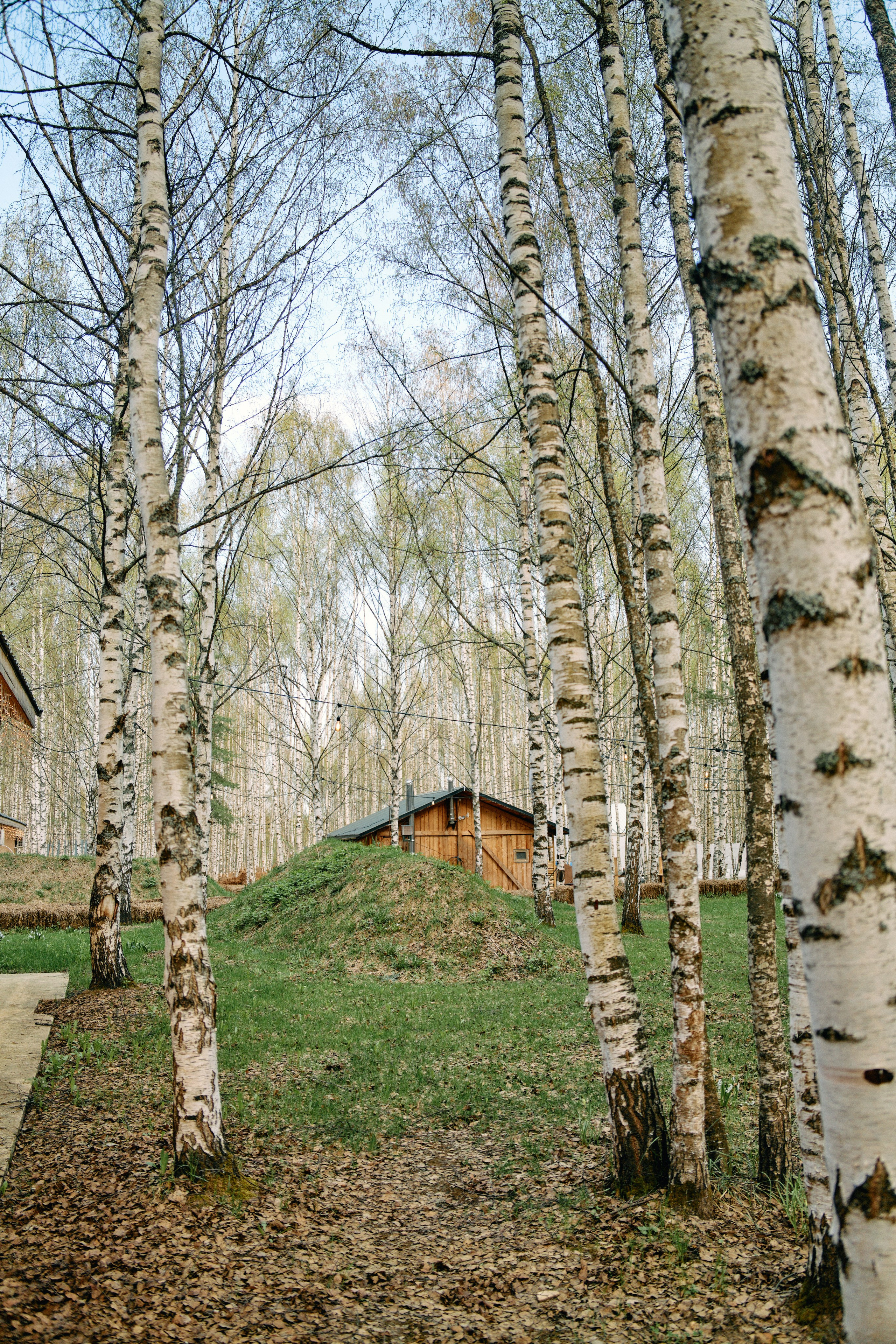 Бутик-отель Поле летом. Профессиональный Фотограф во Владимире, в Москве и в Суздале — Полина Романычева