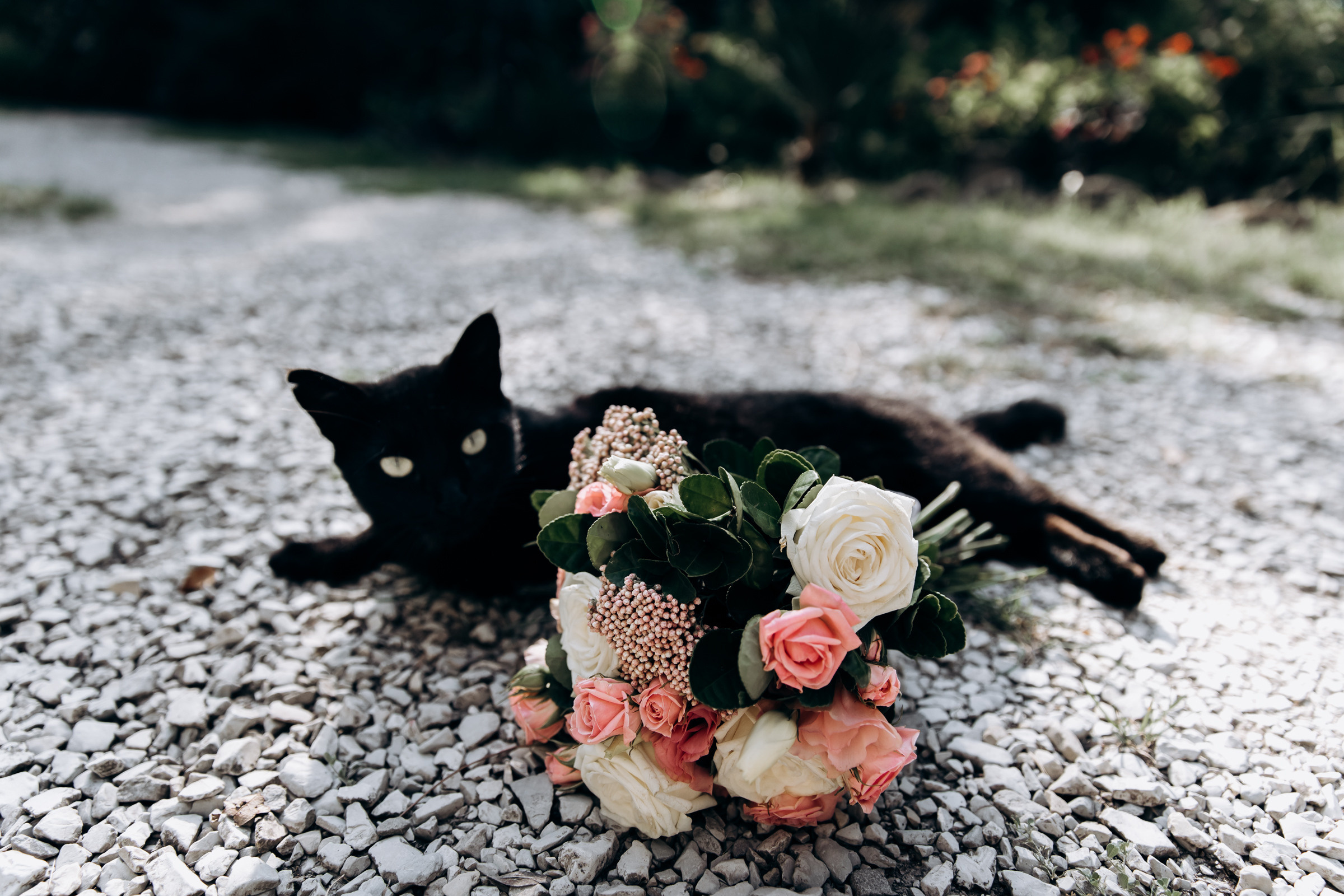 E & A. Свадебный и семейный фотограф в Краснодаре Анастасия Прудко