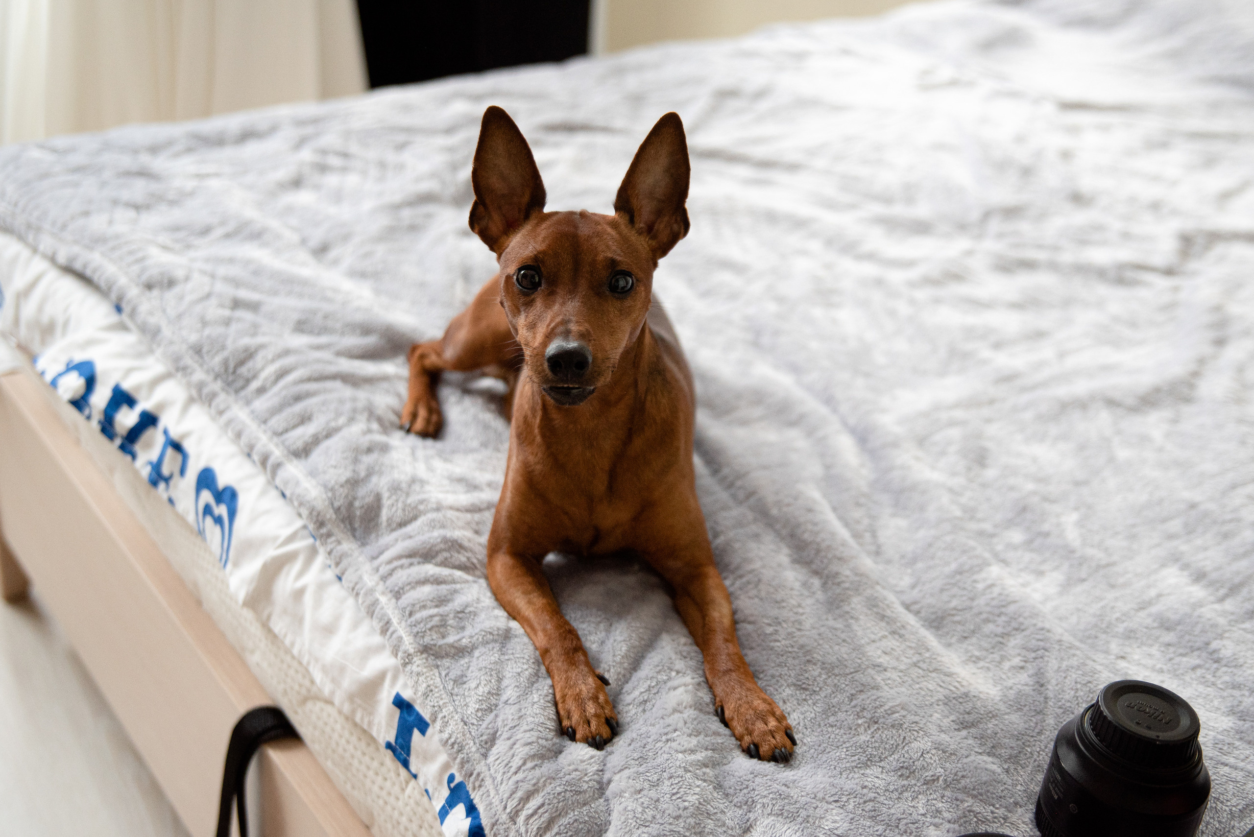Свадьбы. Женский фотограф в Москве Зеленцова Вероника