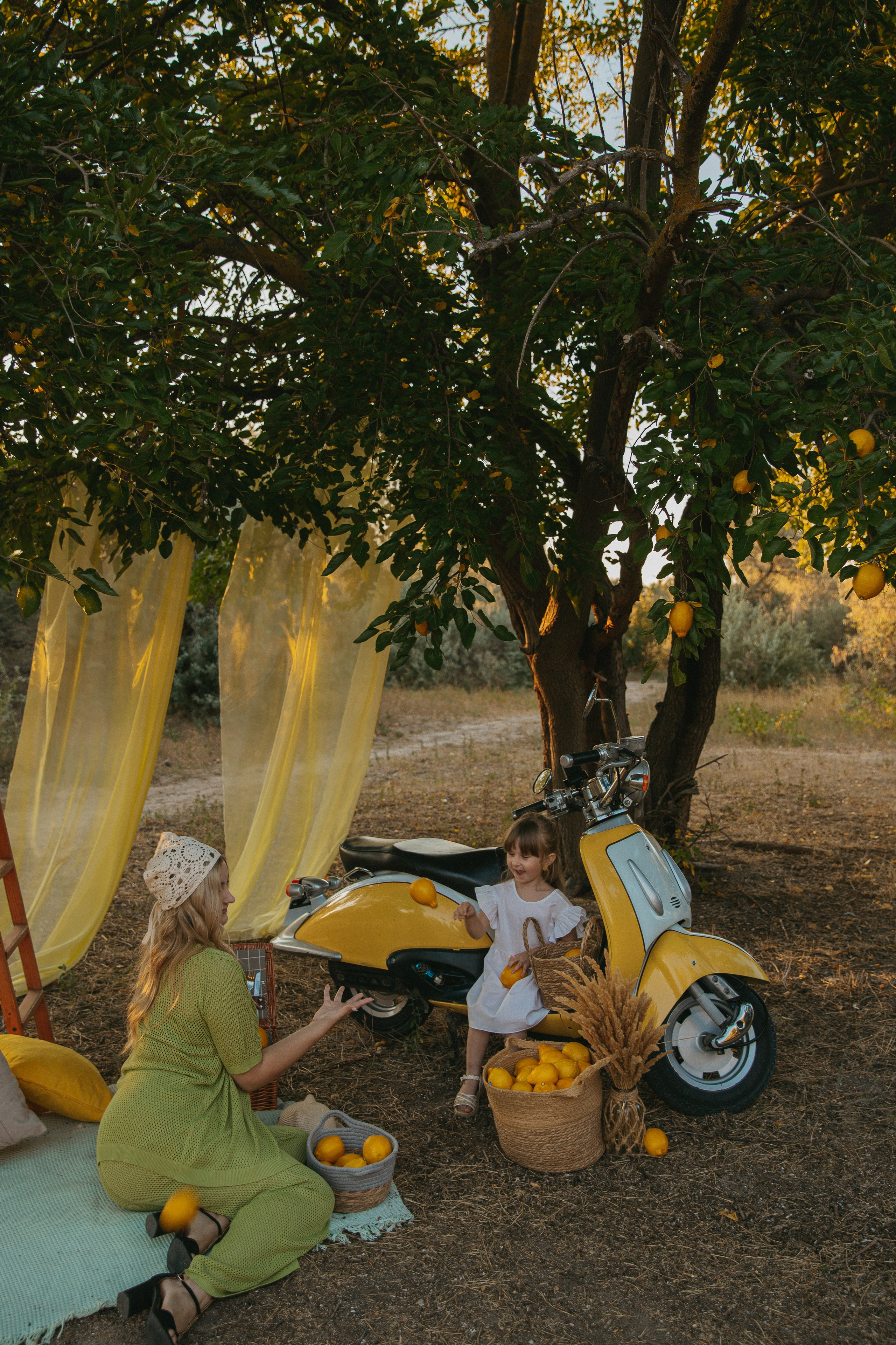 Фотопроект с лимонами