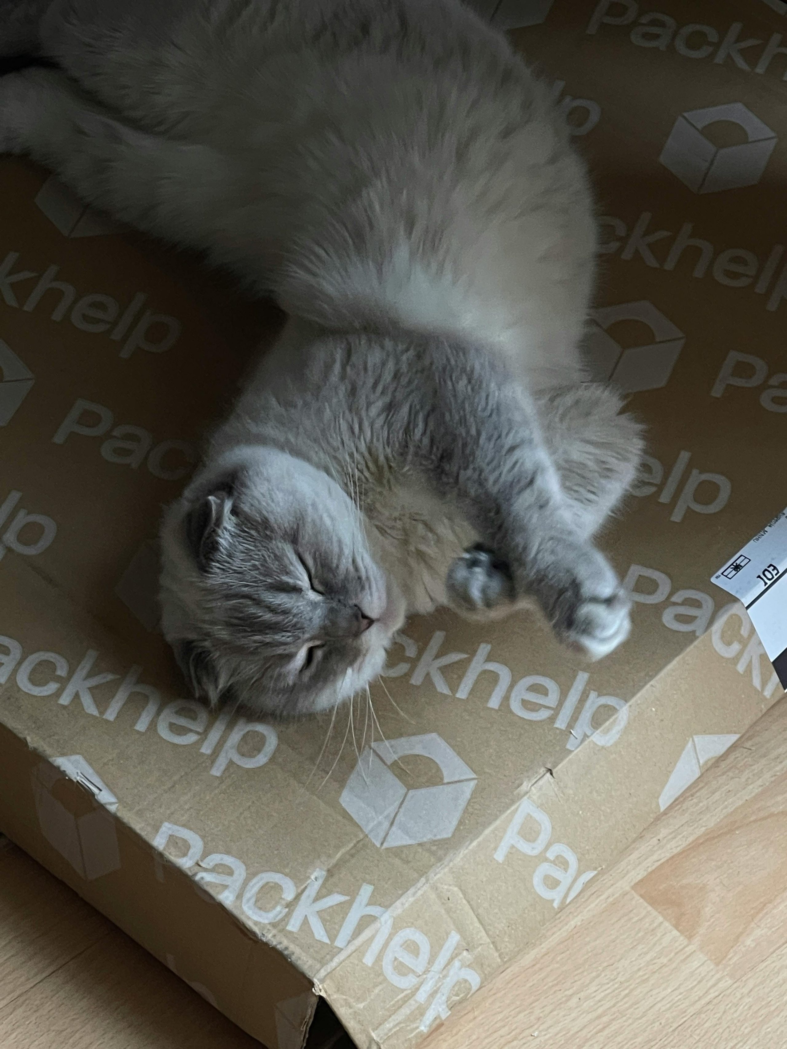 Свадьбы. Фото и видеосъемка в Алматы