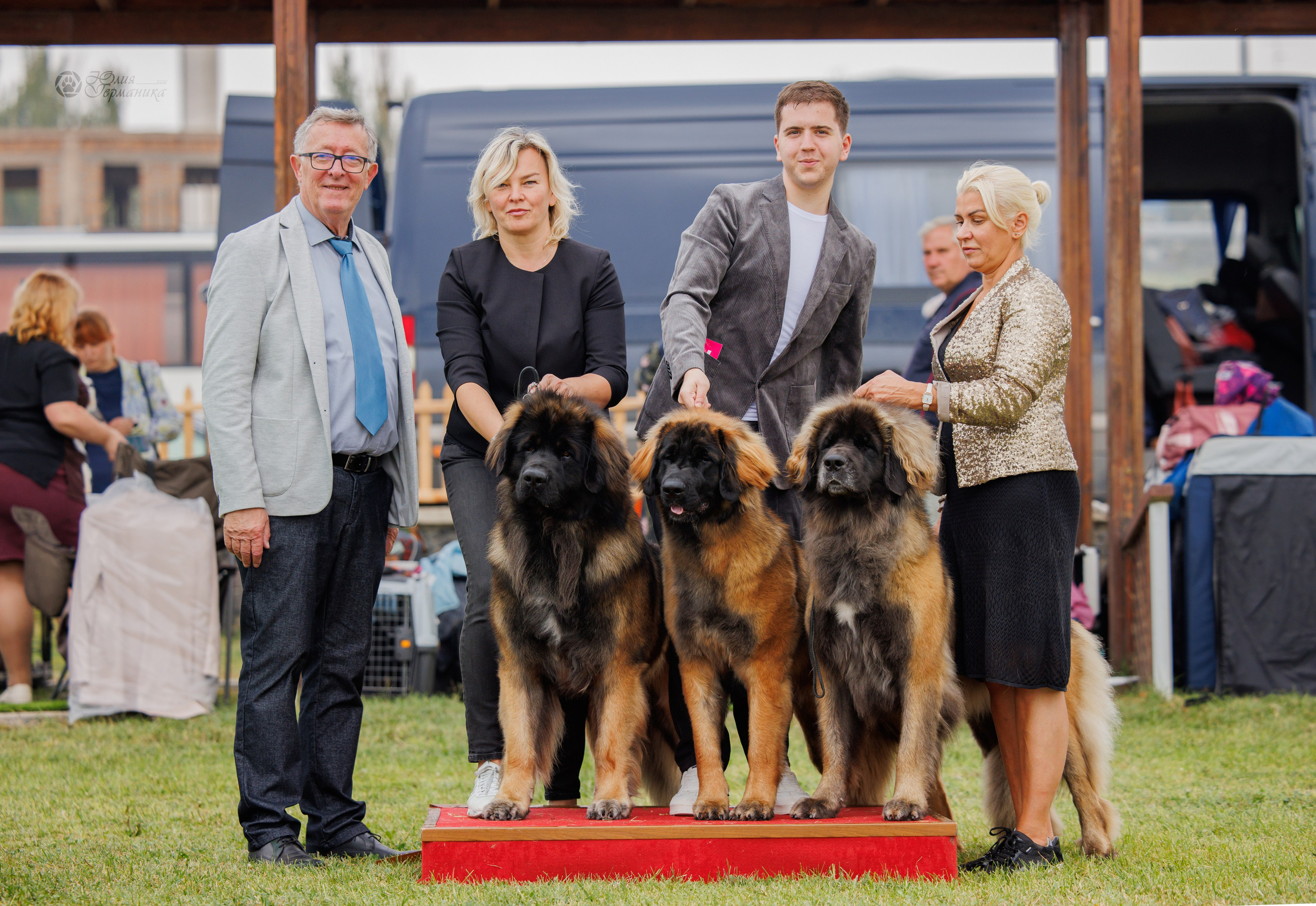 Армения,Ереван 3хCACIB 15-17.10.2024. Фотограф-анималист Юлия Германика