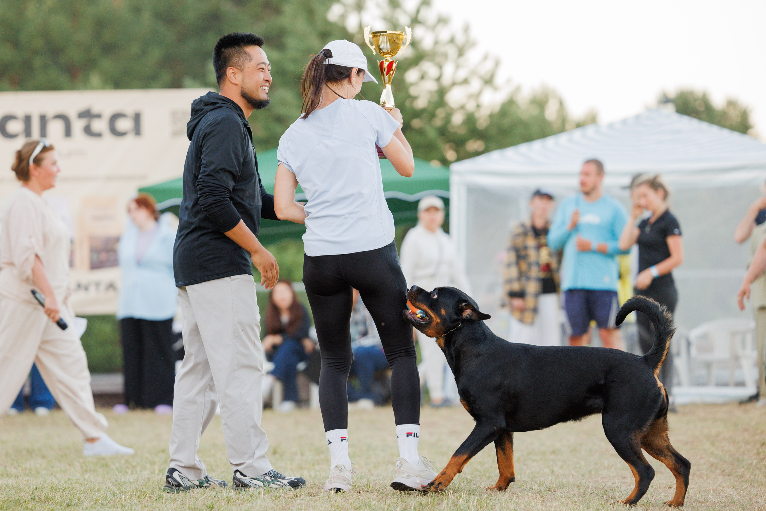 ПК и КЧК ротвейлеры Тверь 6-7.07.2024. Фотограф-анималист Юлия Германика