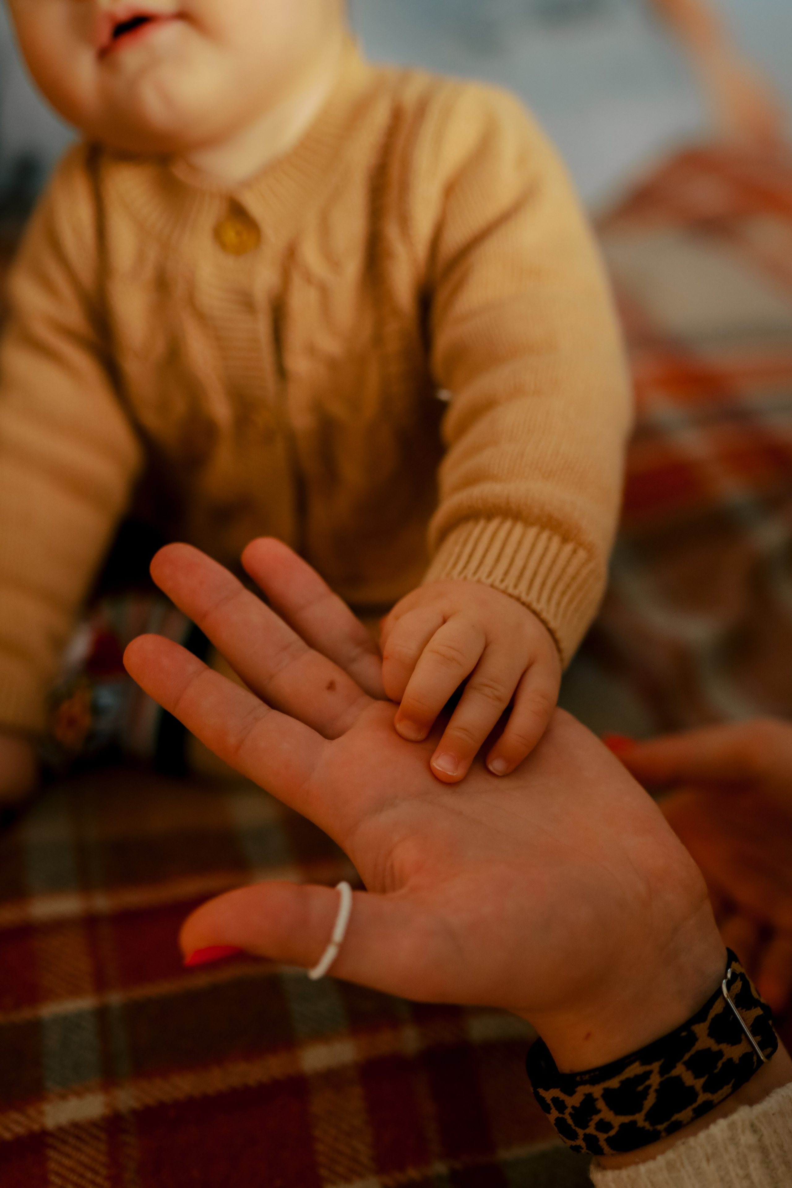 Теплое семейное новогоднее. Свадебный и семейный фотограф в Варшаве