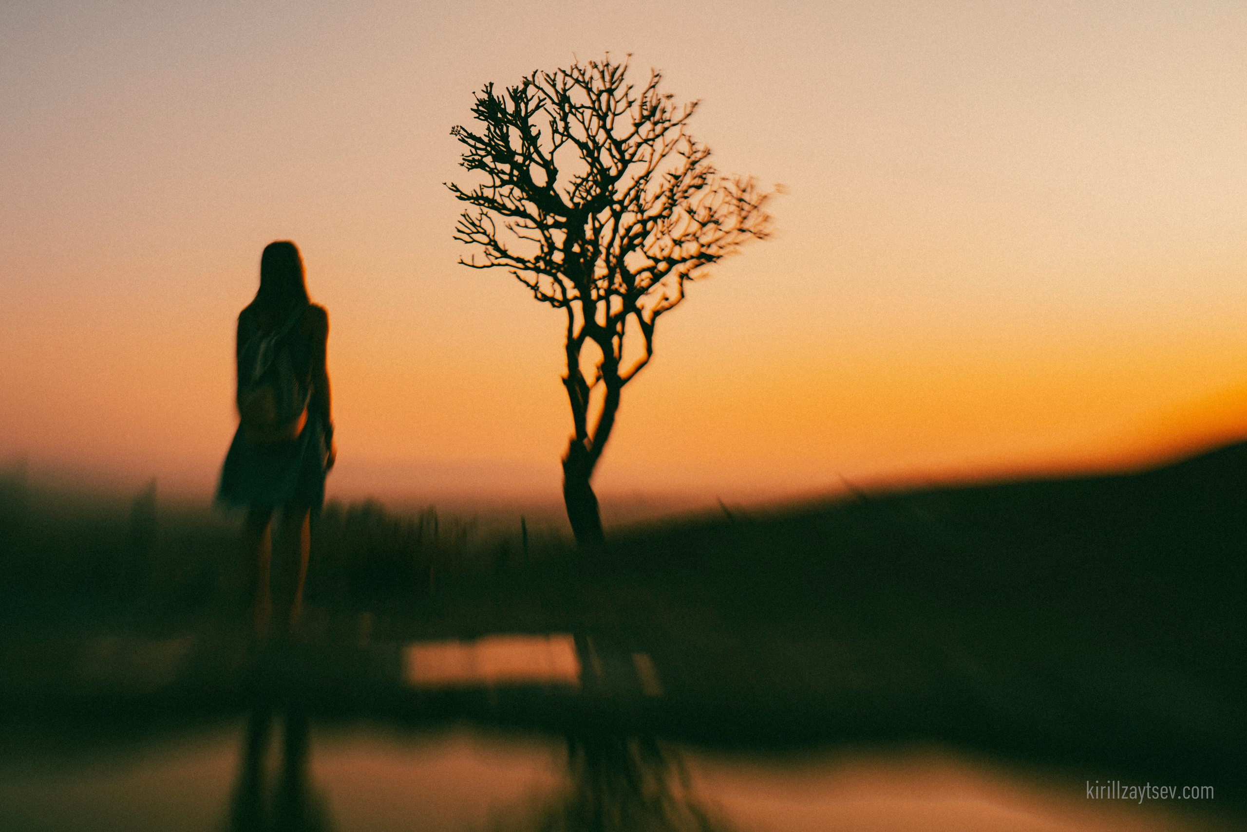 Жизнь. Профессиональный фотограф Кирилл Зайцев