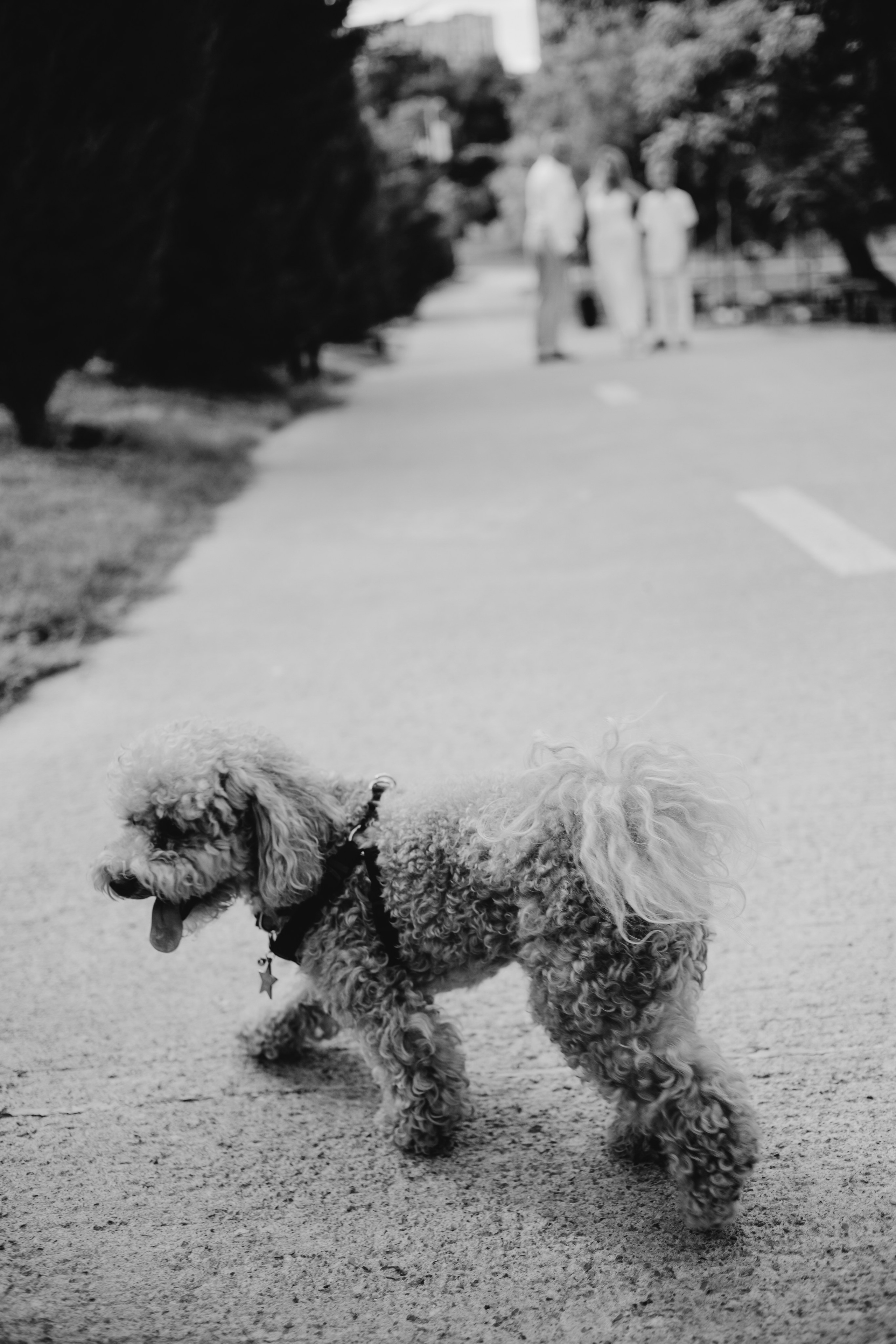 Инна и Фрэнк. Фотограф в Тбилиси Наталья Фомина