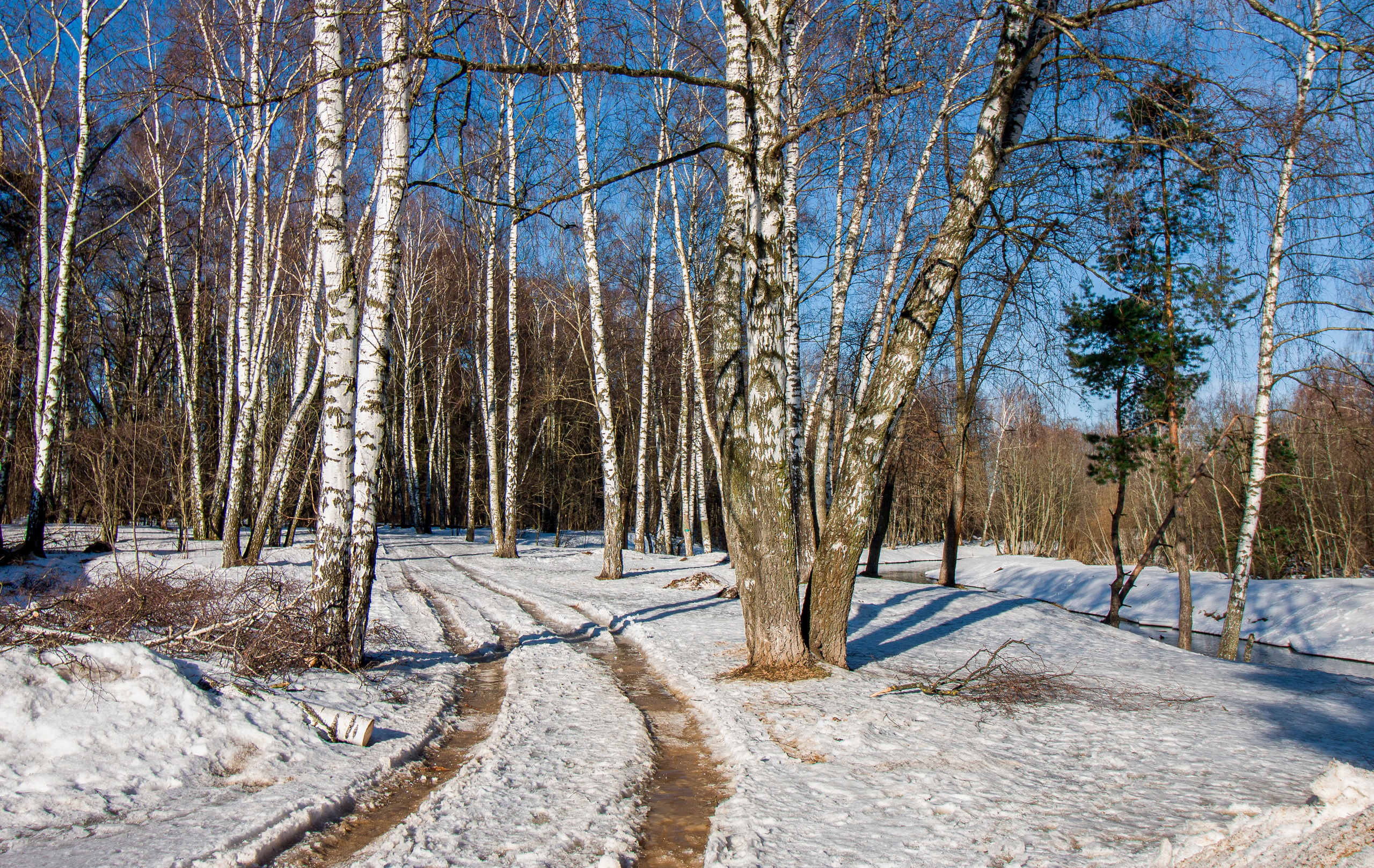 ПЕЙЗАЖ. Фотограф Николай Костюк