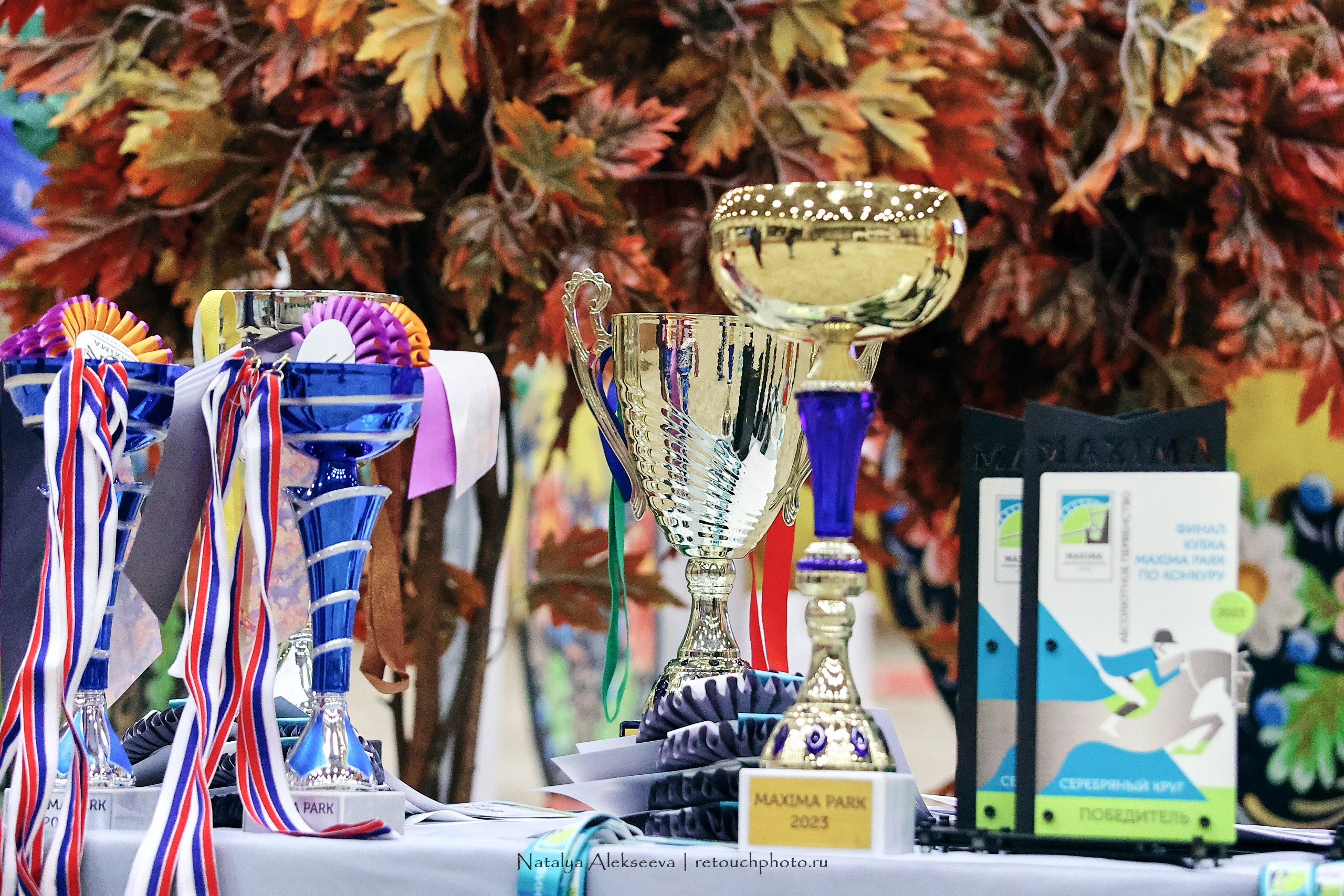 Финал Maxima Park по конкуру, Maxima Stables | 10'2023. Репортажный фотограф и ретушер в Москве Наталья Алексеева