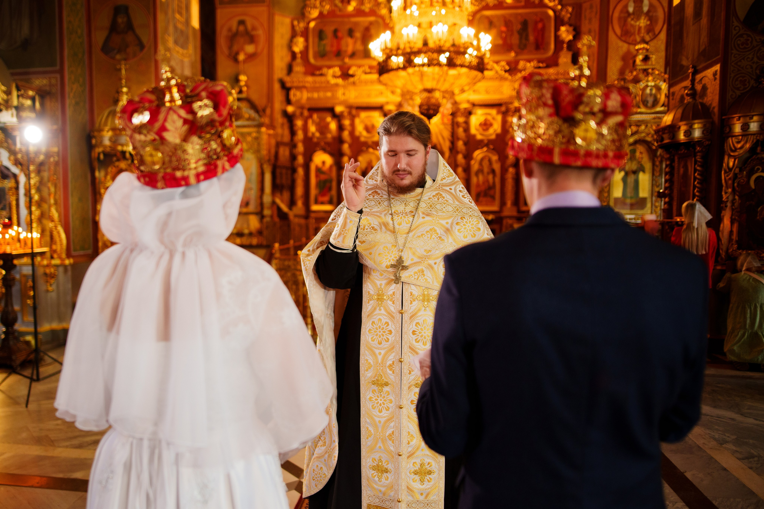 24.09.2023. Фотограф Андрей Чеботок (Белгород, Курск, Воронеж, Старый Оскол)