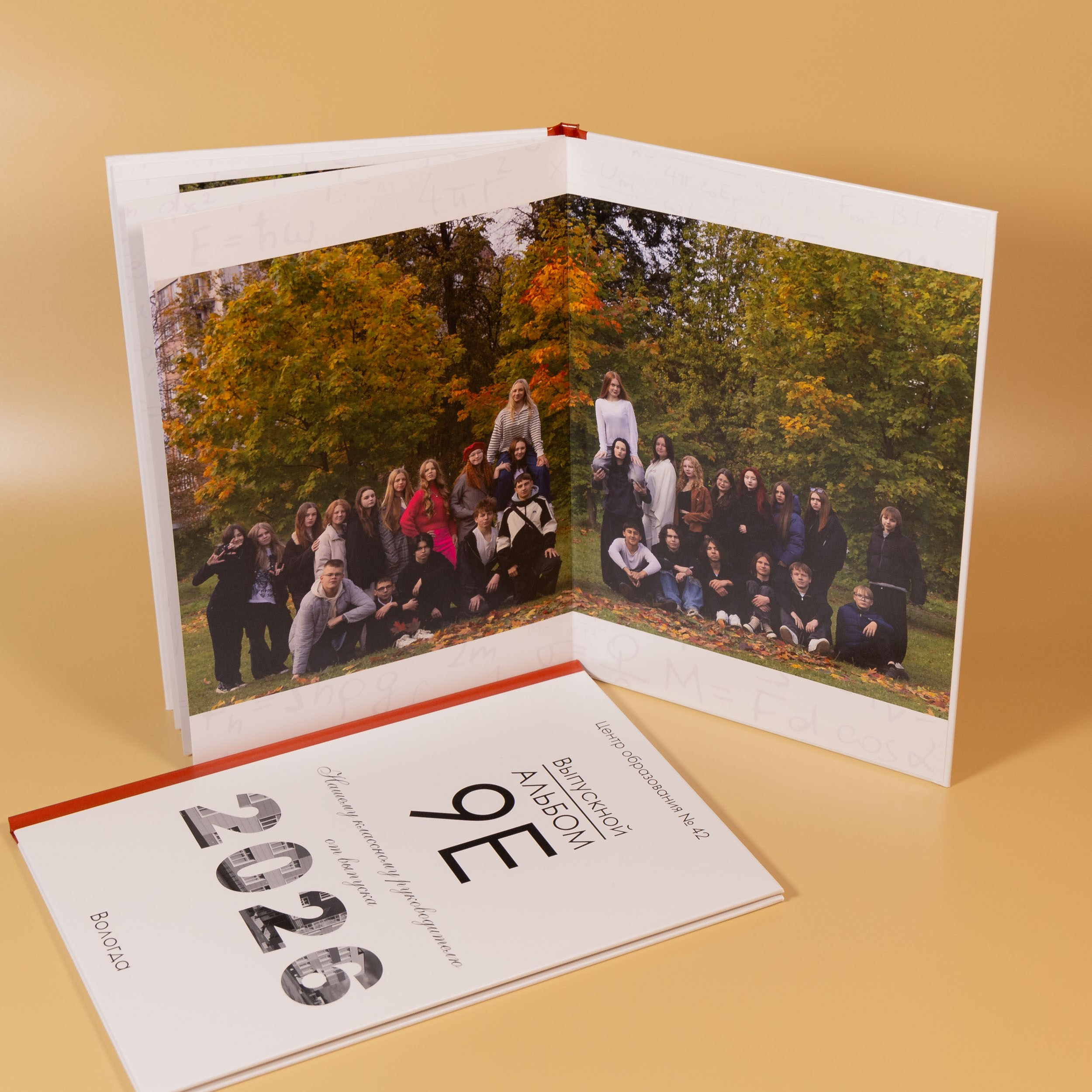 Общая осенняя фотография выпускного альбома 9 класса в Вологде.