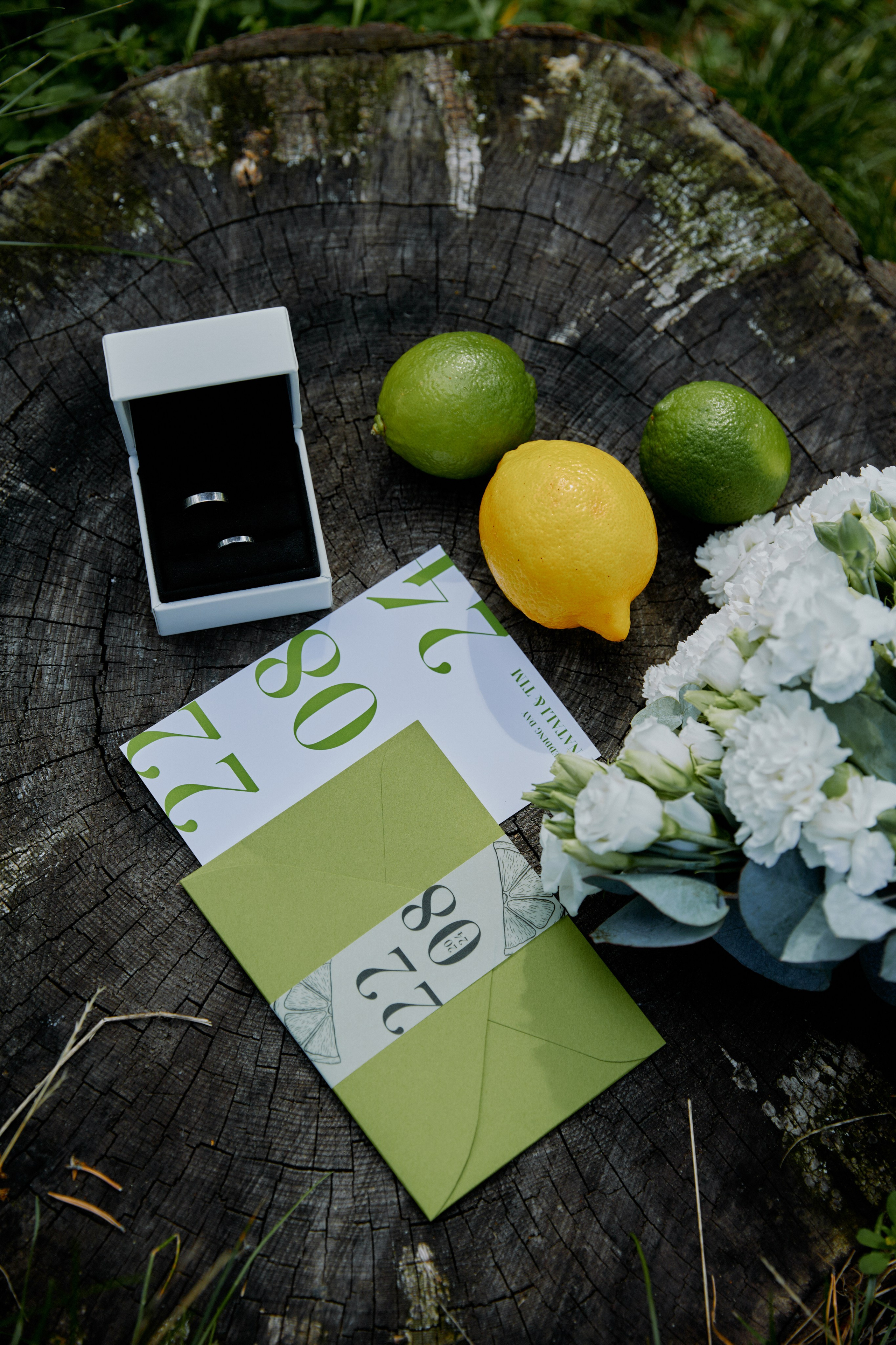 Лаймовое настроение. Фотограф Елена Краснопевцева