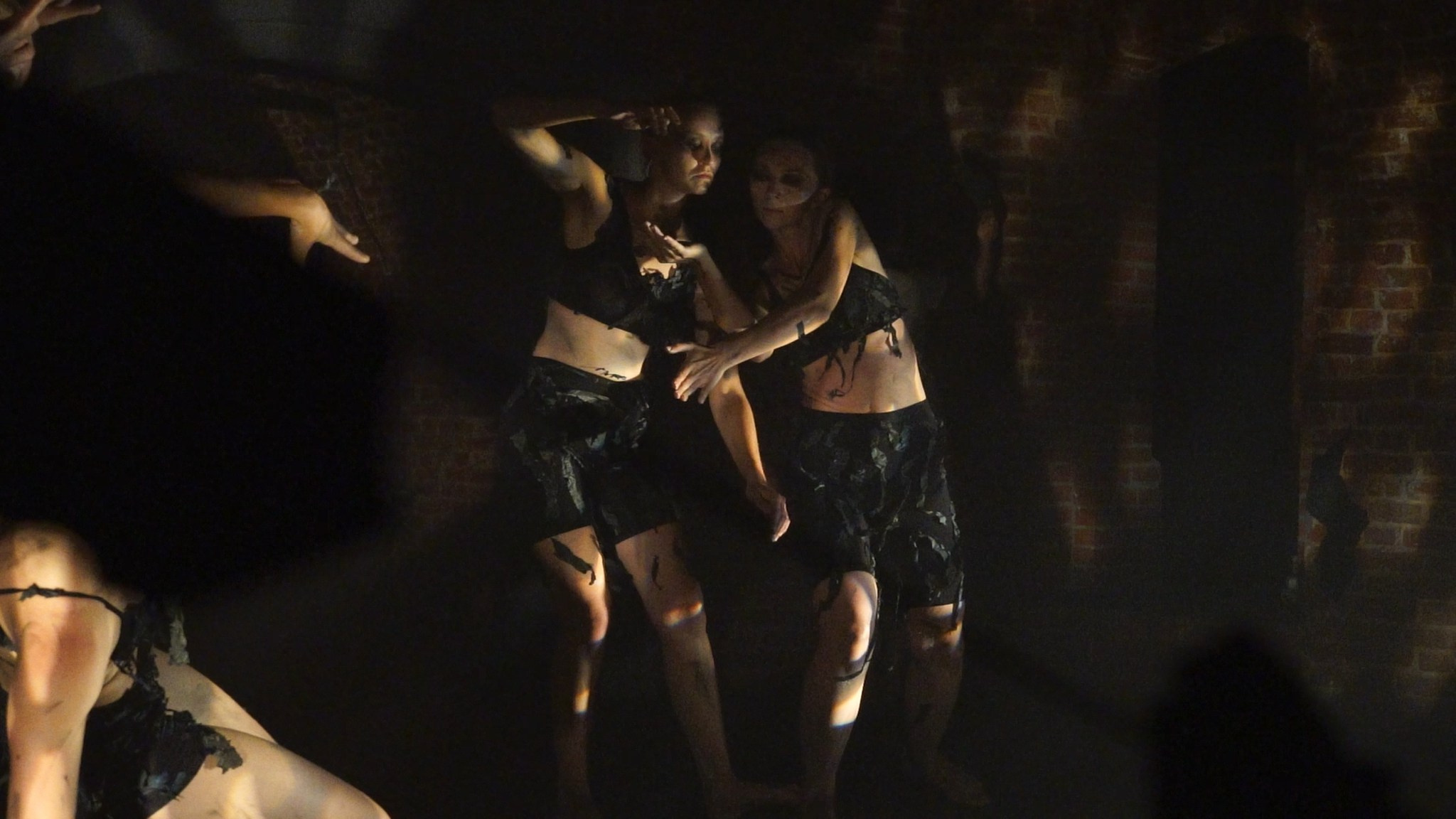 Красное дерево. Фото / Видеосъемка в Москве