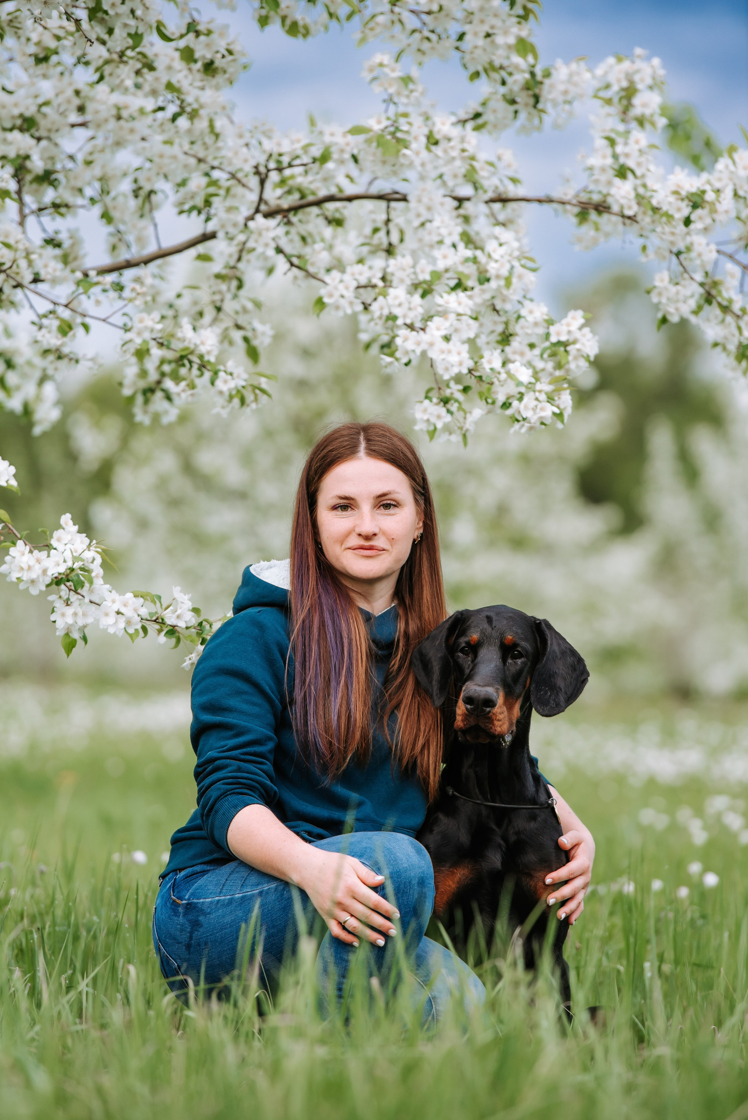 Цветение с доберманами. Фотограф Диана Оленина Красноярск / Братск