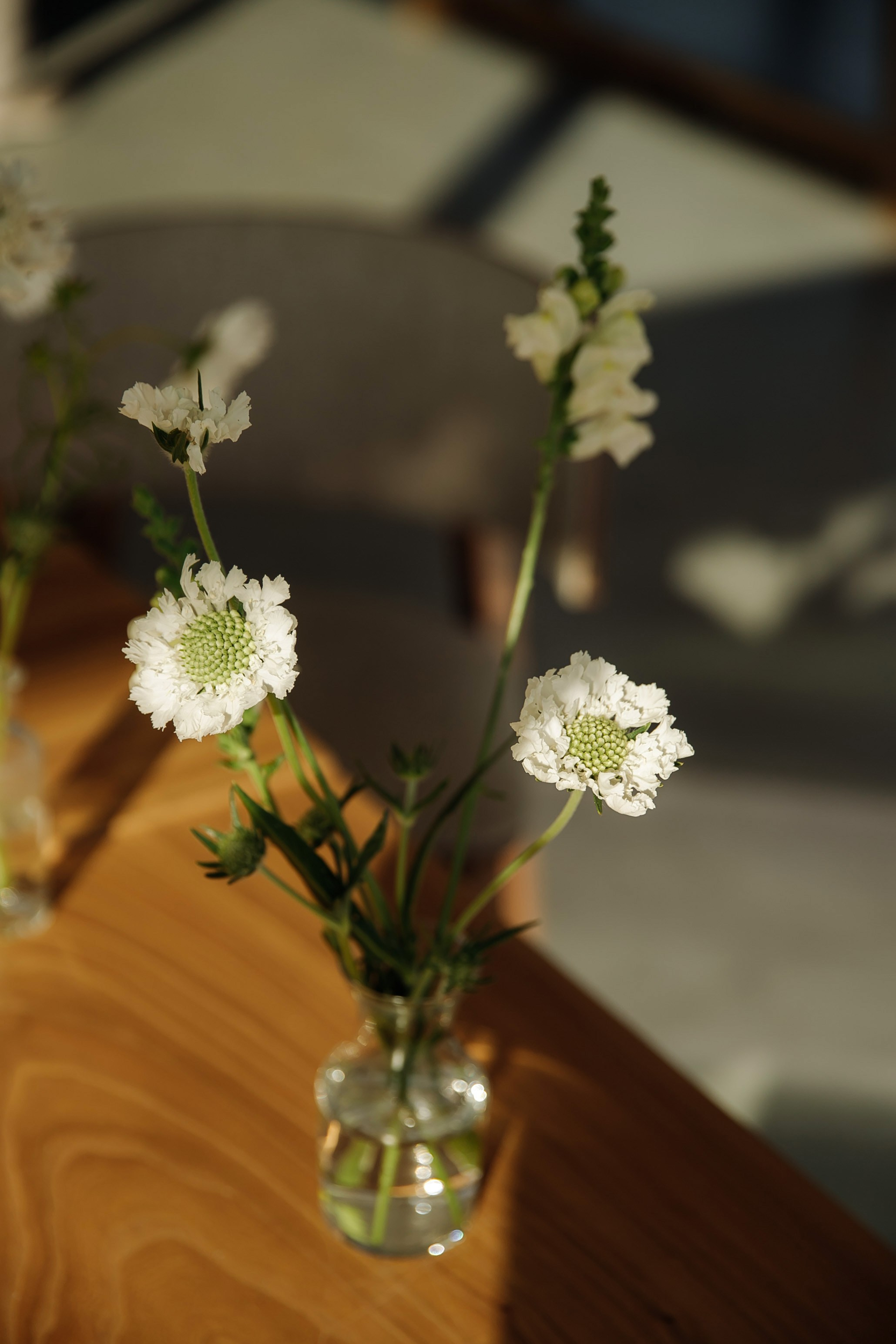 Alina & Denis. Свадебный фотограф в Севастополе и Крыму| Tanya Sher