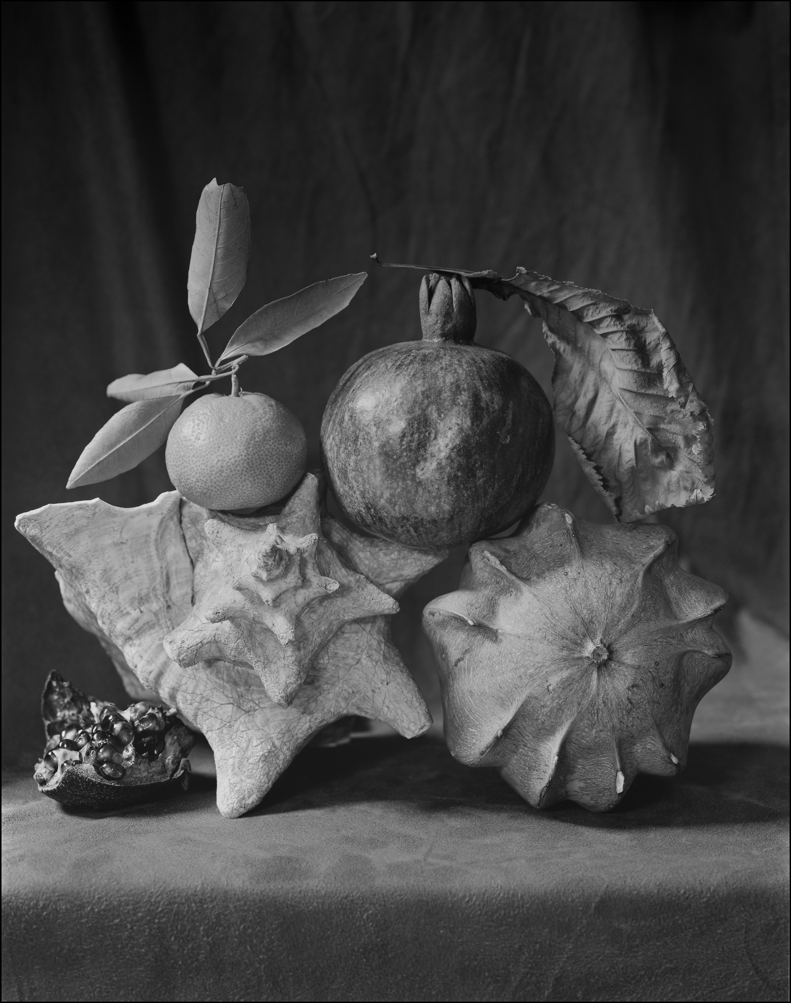 Натюрморт. Кондрюк Сергей фотограф |художник