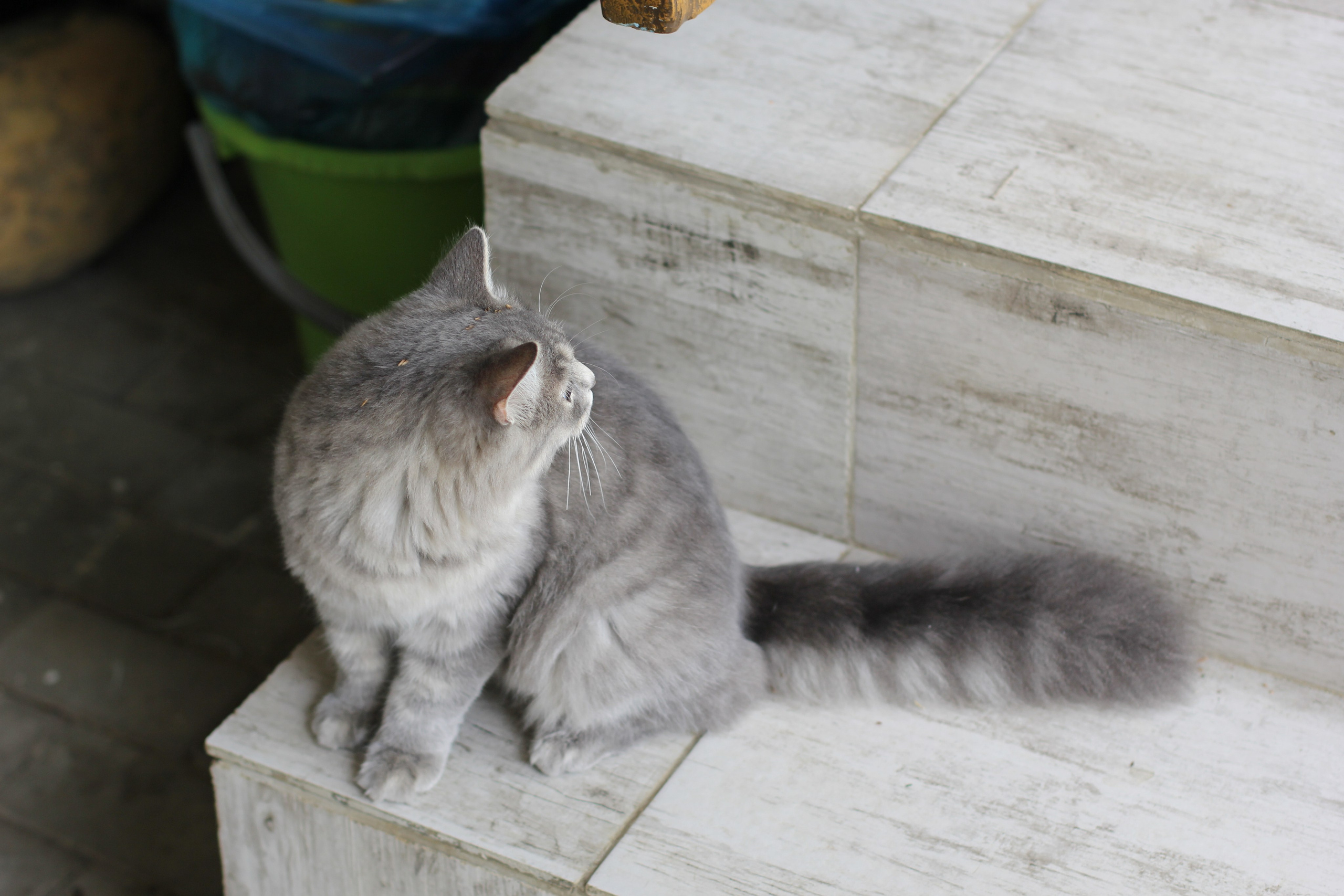 Дорога Горячий Ключ — Приморское (2024-09-23). Собор Отрасли