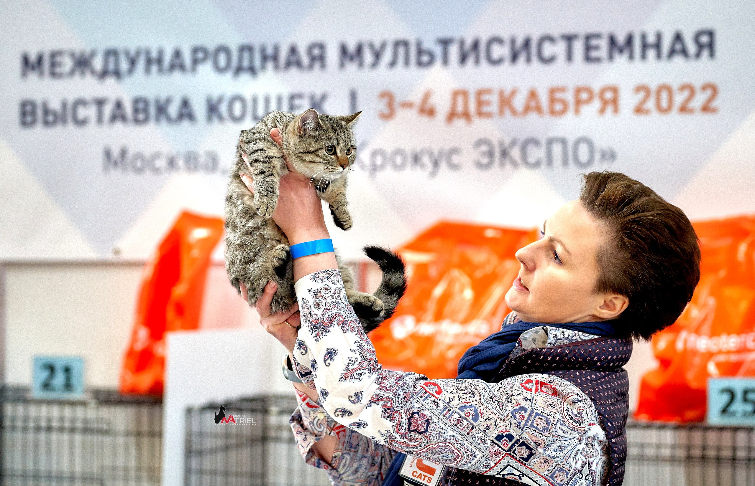 Выставки животных — галерея NATRIEL