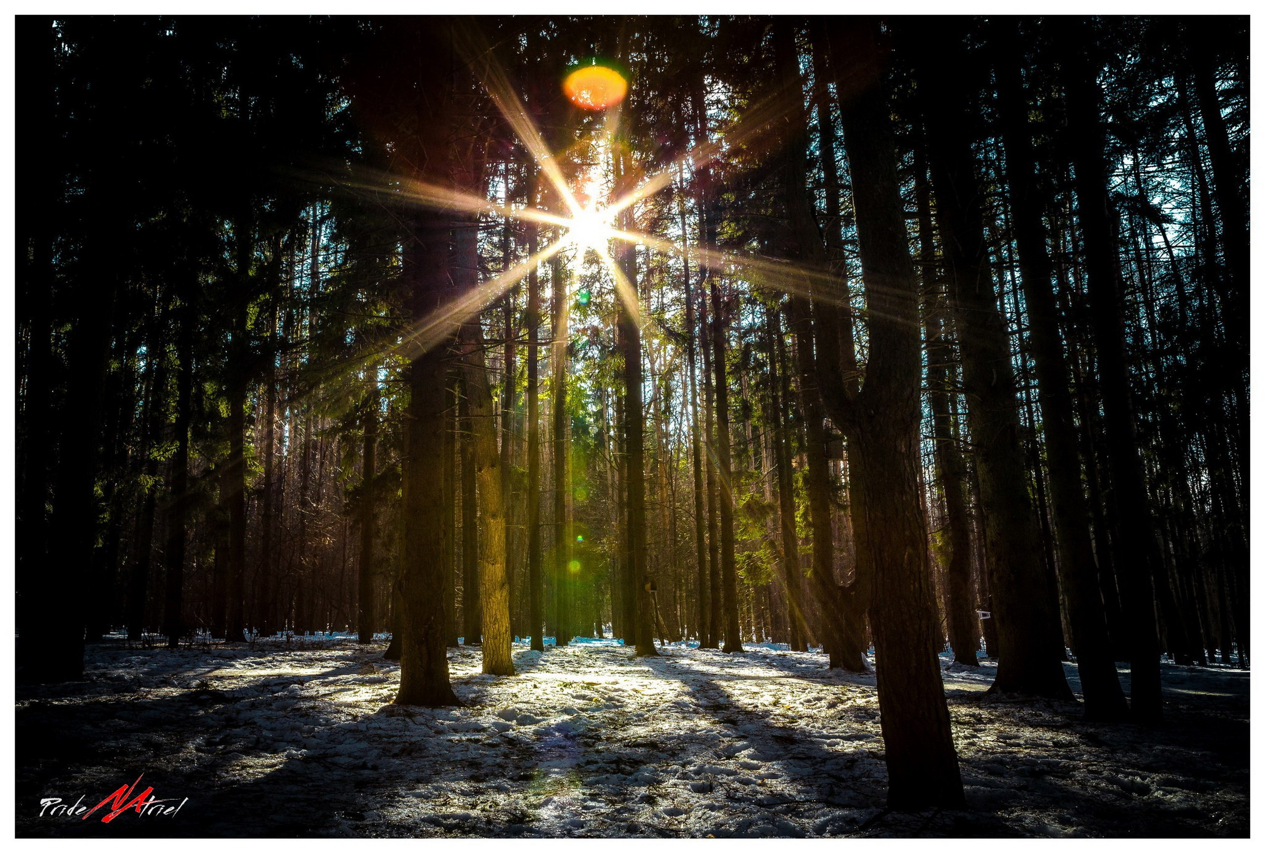 Пейзаж — галерея NATRIEL