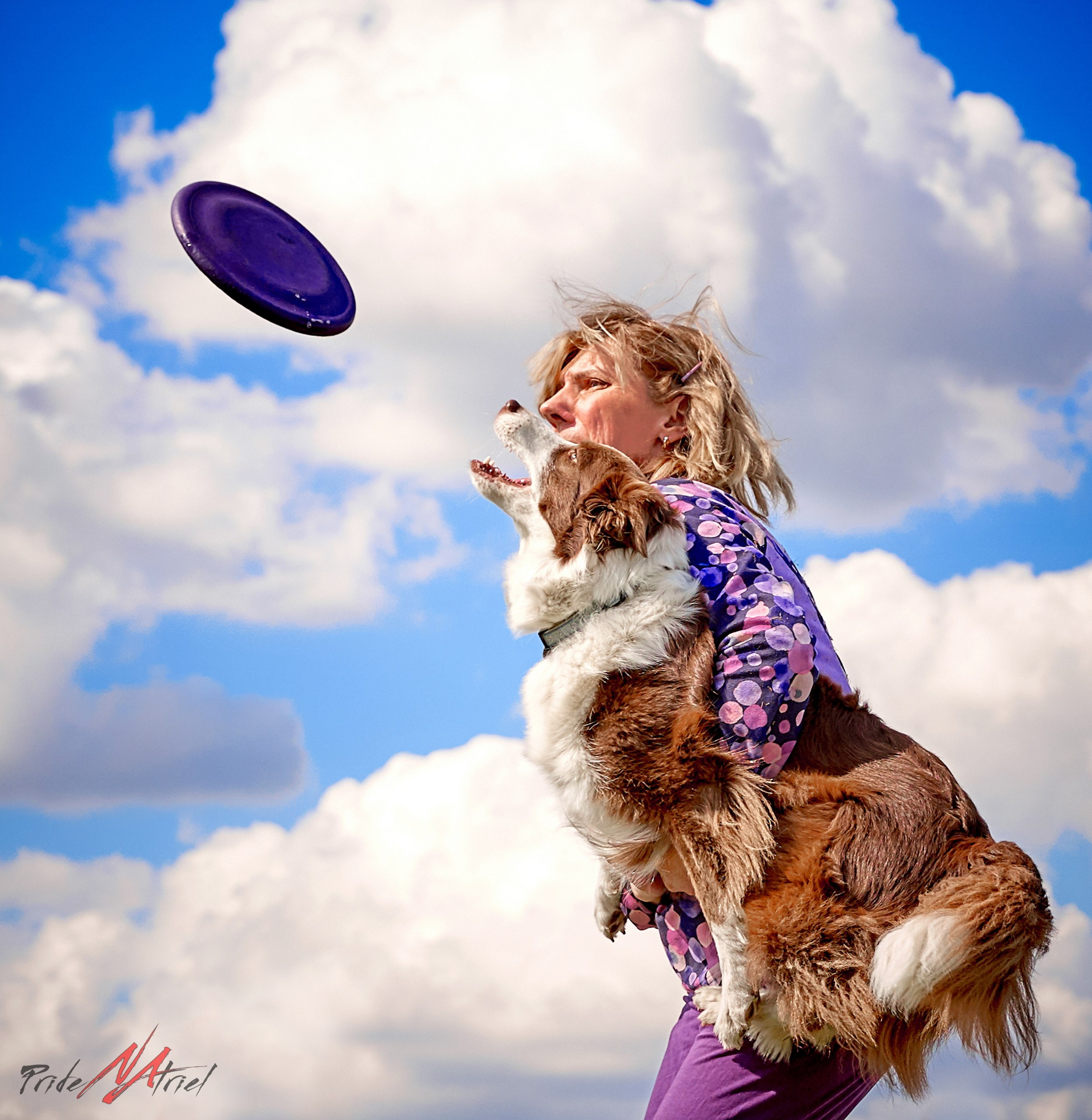 Мероприятия с собаками — галерея NATRIEL