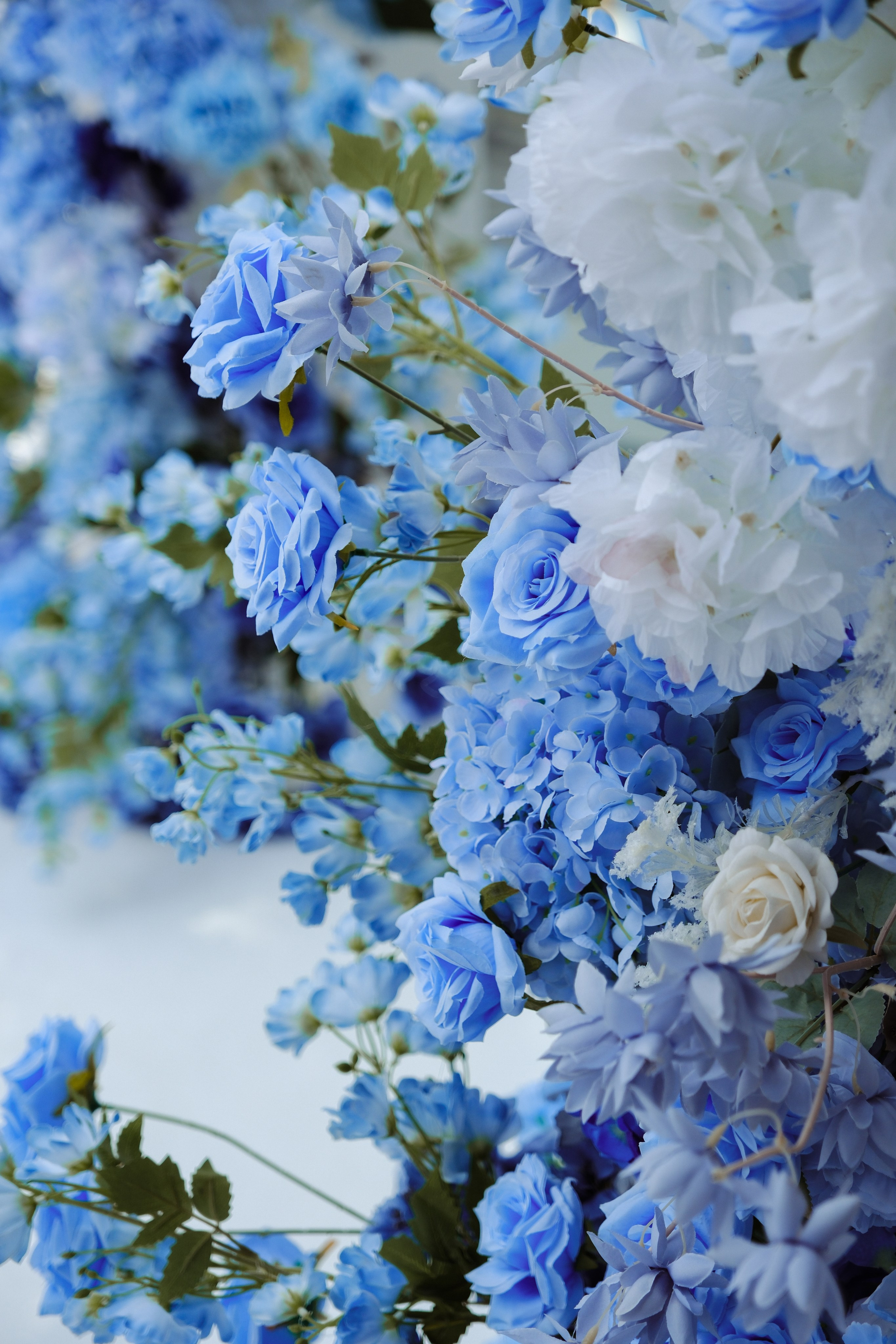 Мечтай со мной!. Фотограф Саранск Ирина Шишкина, все виды съемок