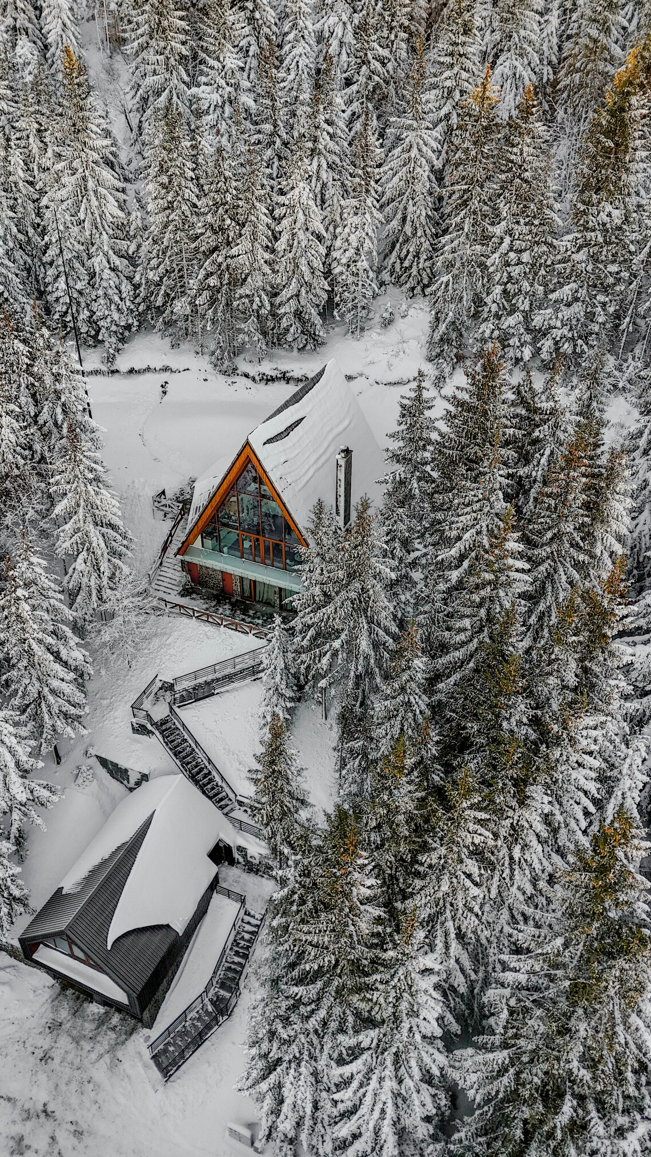 Sofia Kop. Photographer Liana Sudets Serbia Kopaonik Brzece Brus