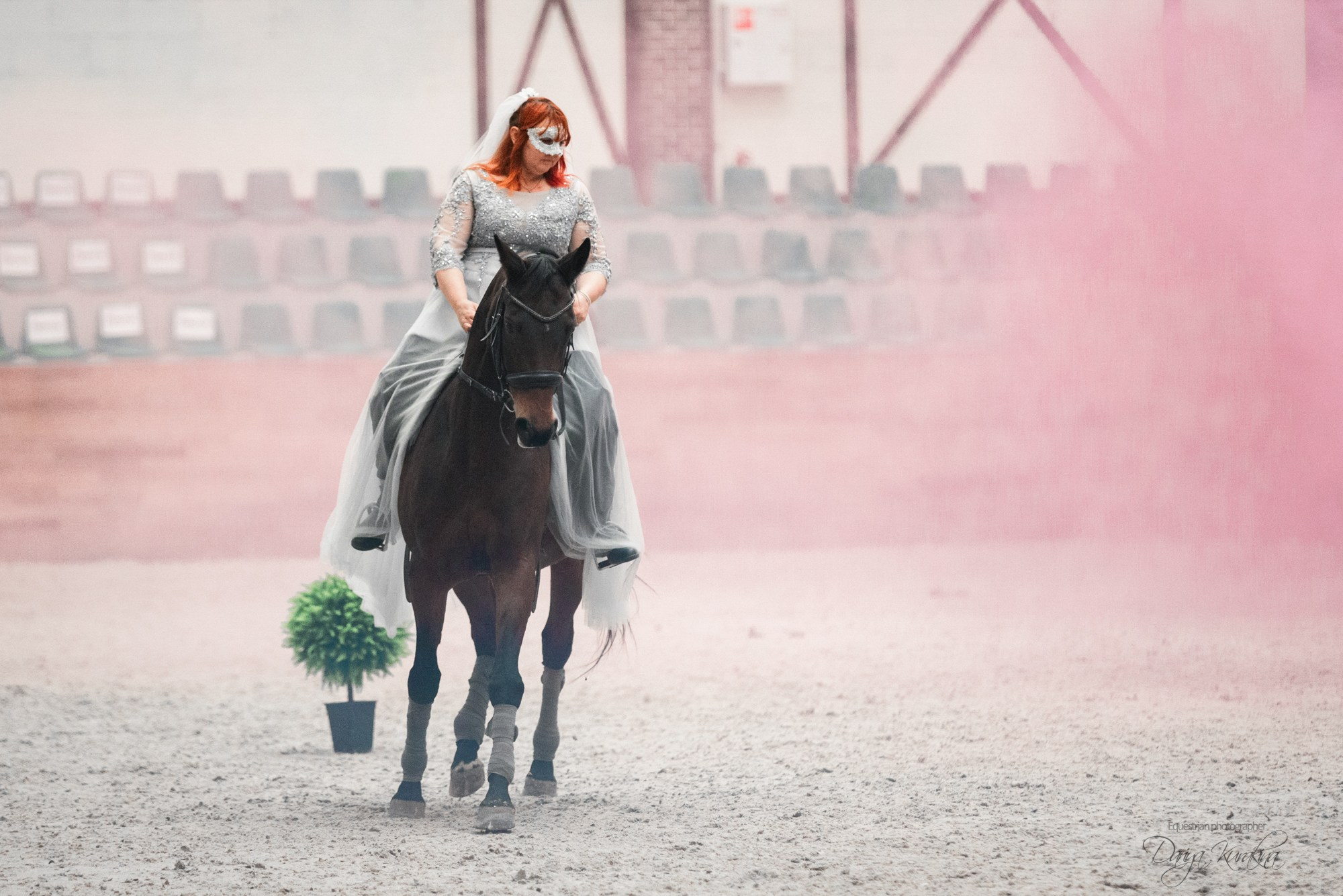 8-я международная выставка Конная Россия. Конный фотограф Куракина Дарья • Фотосессии с лошадьми