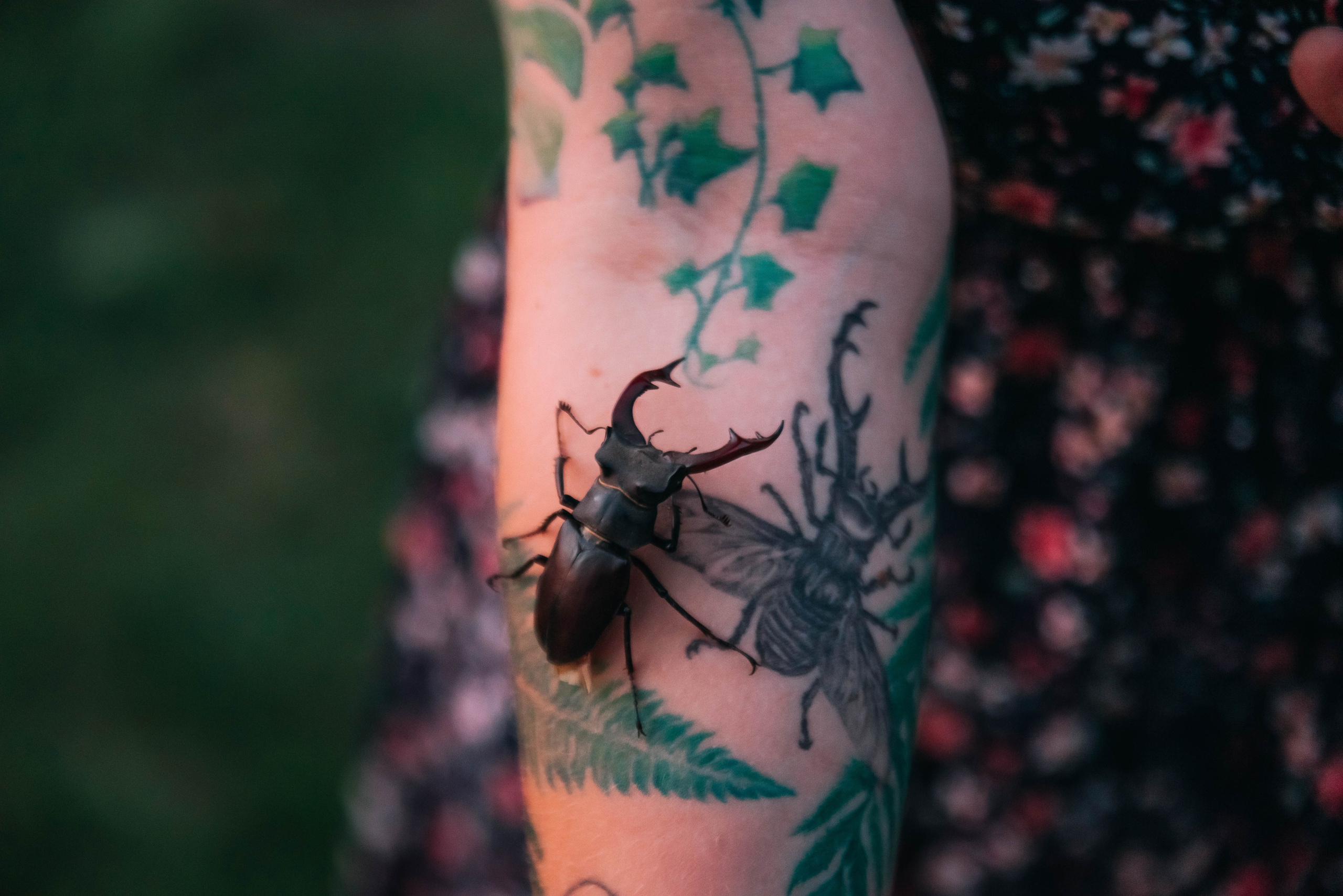 Кристина и Сергей. Главная