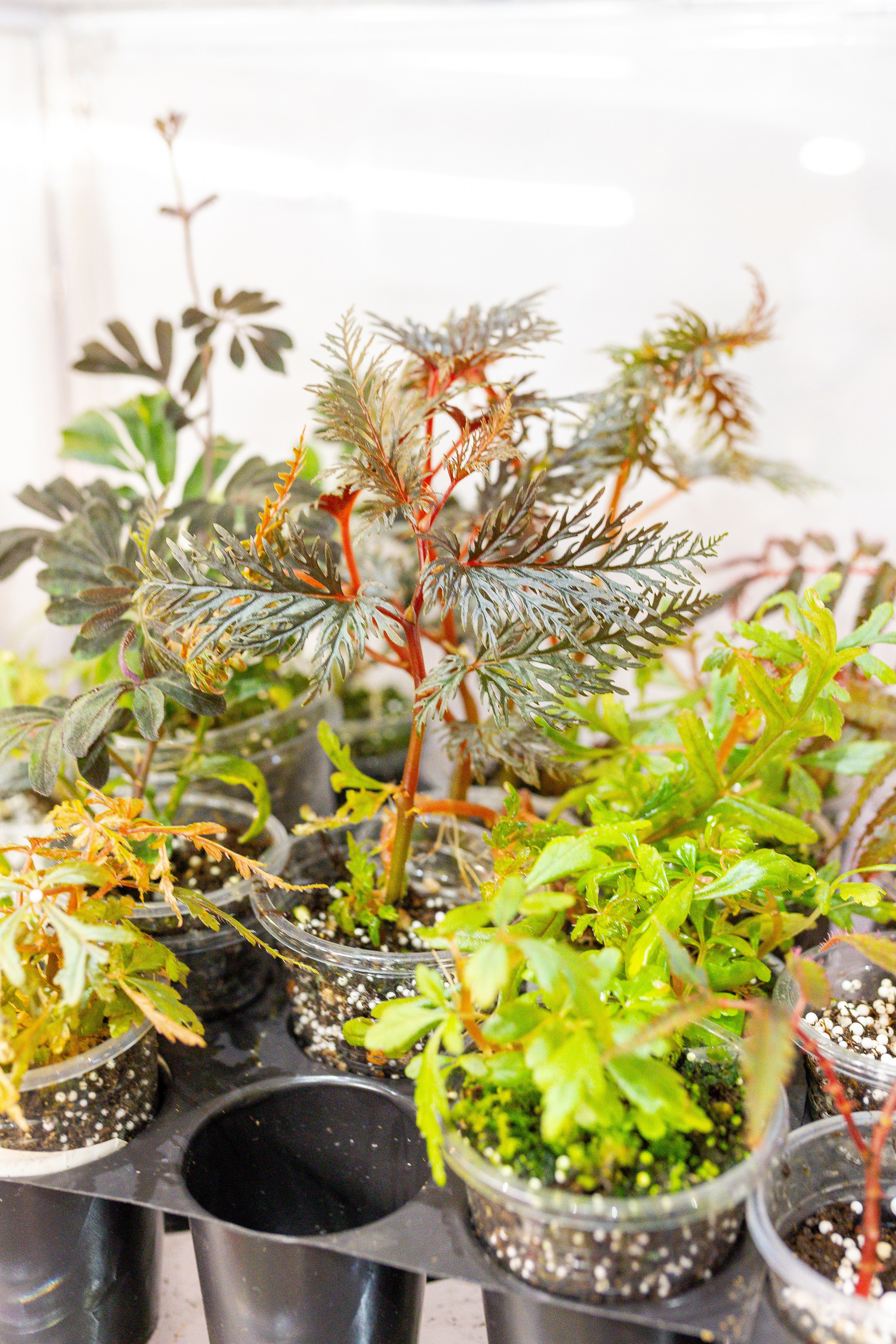 Монстериум 11–12 октября. Александра Куликова фотограф, Москва