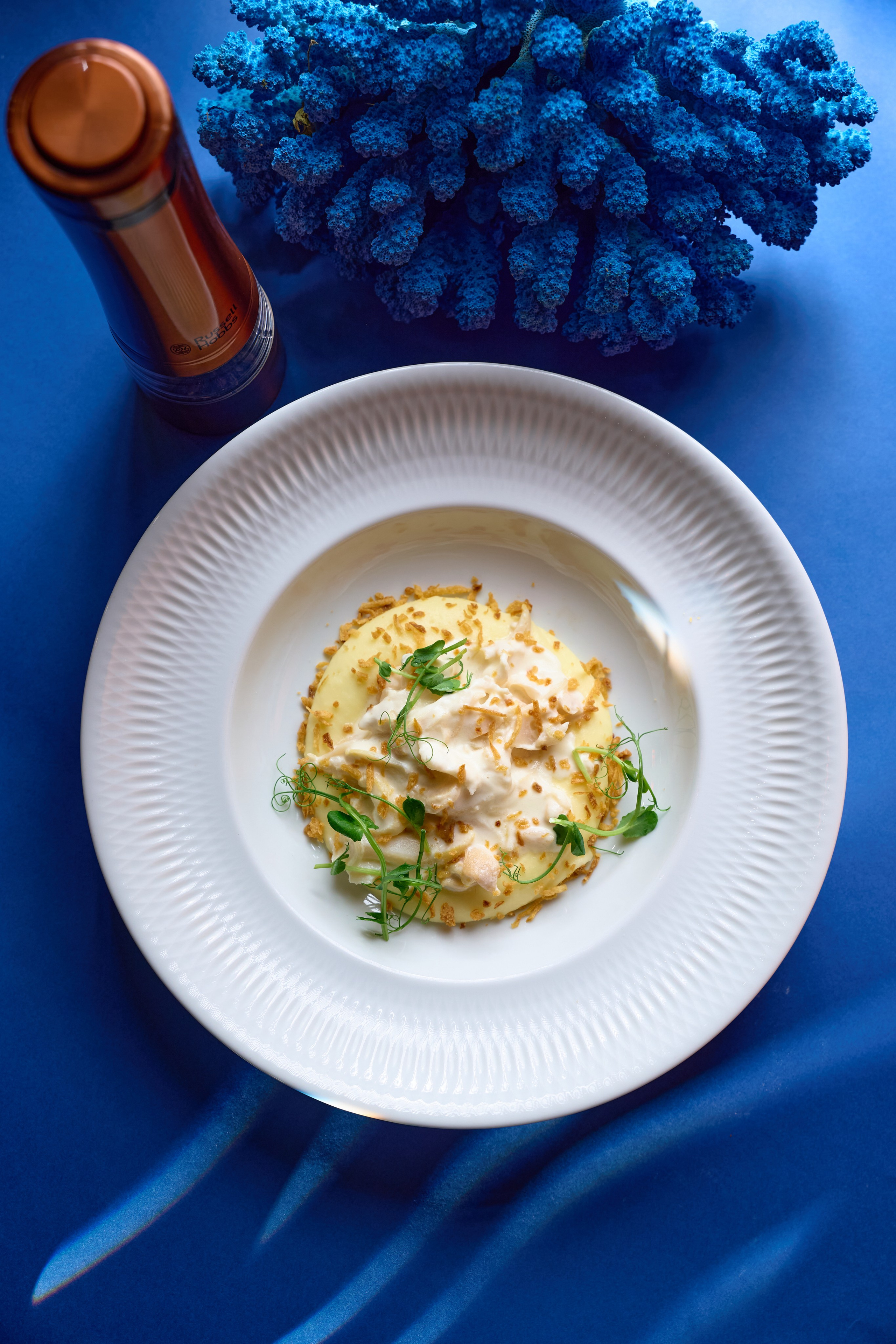 Рестораны. Константин Сафонов