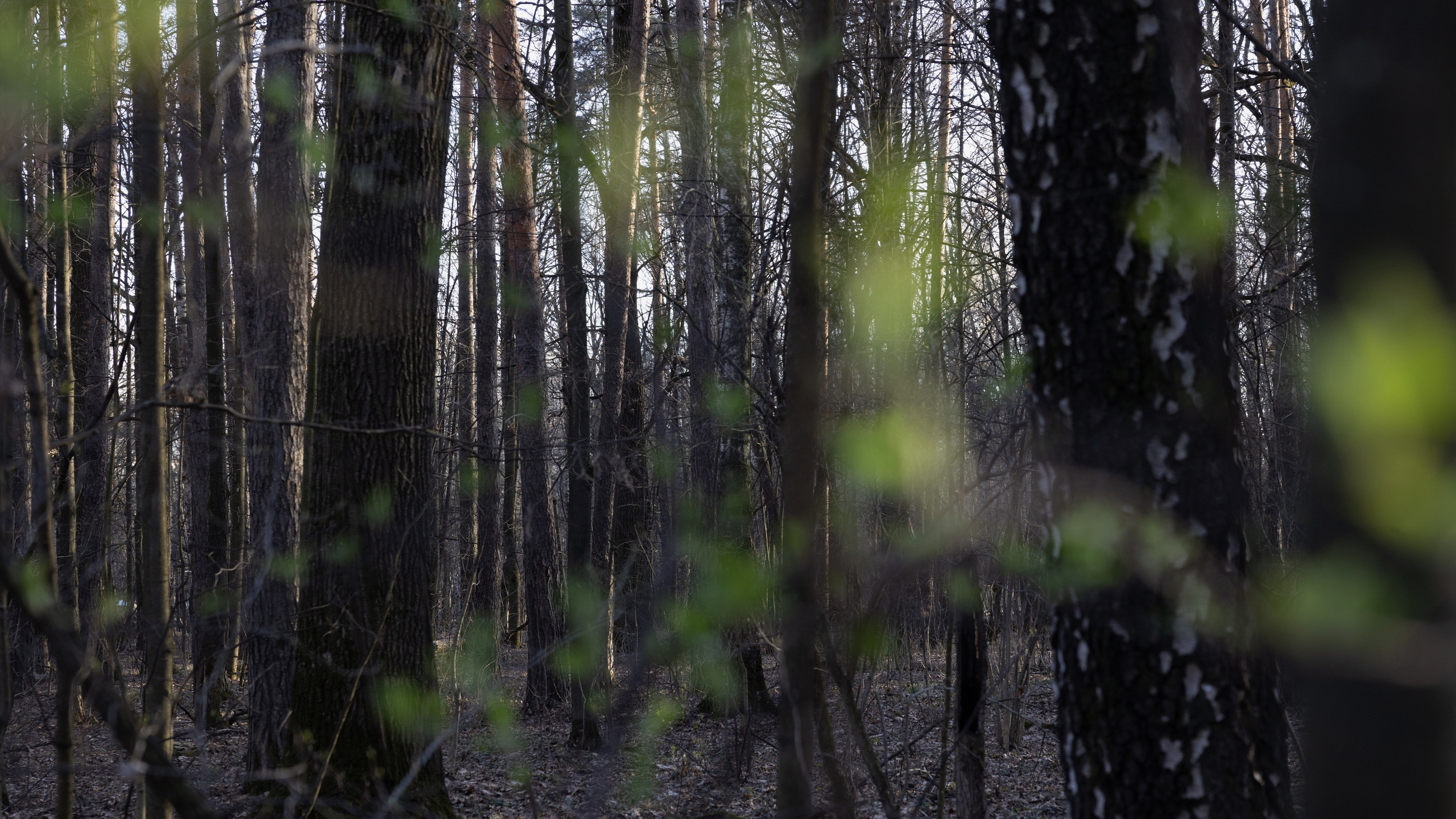 Art prints. Фотограф алина стерхова, алина стерхова фотограф, фотограф москва