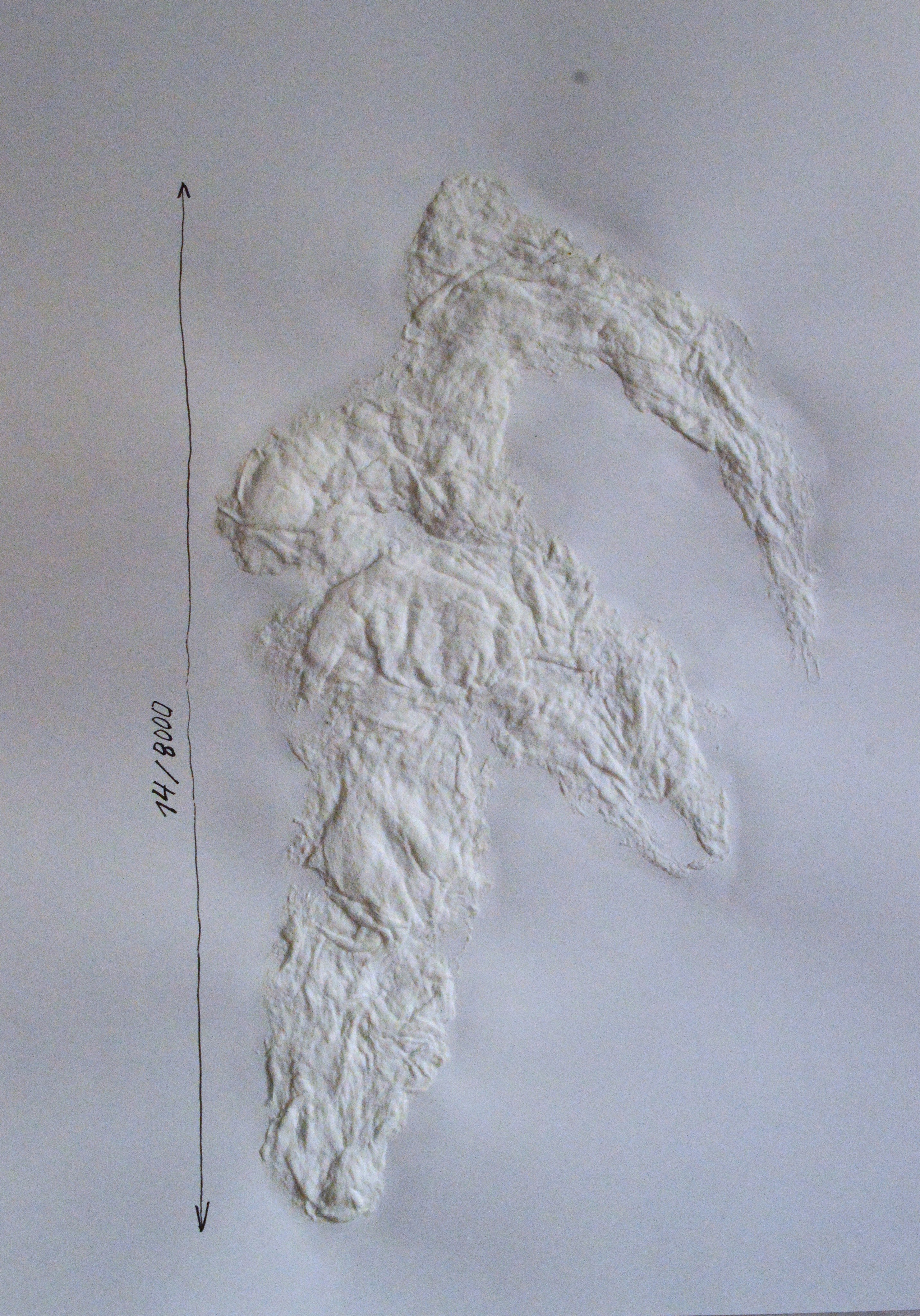 «8000 женщин» 2025. Лилия Ким. Междисциплинарный художник