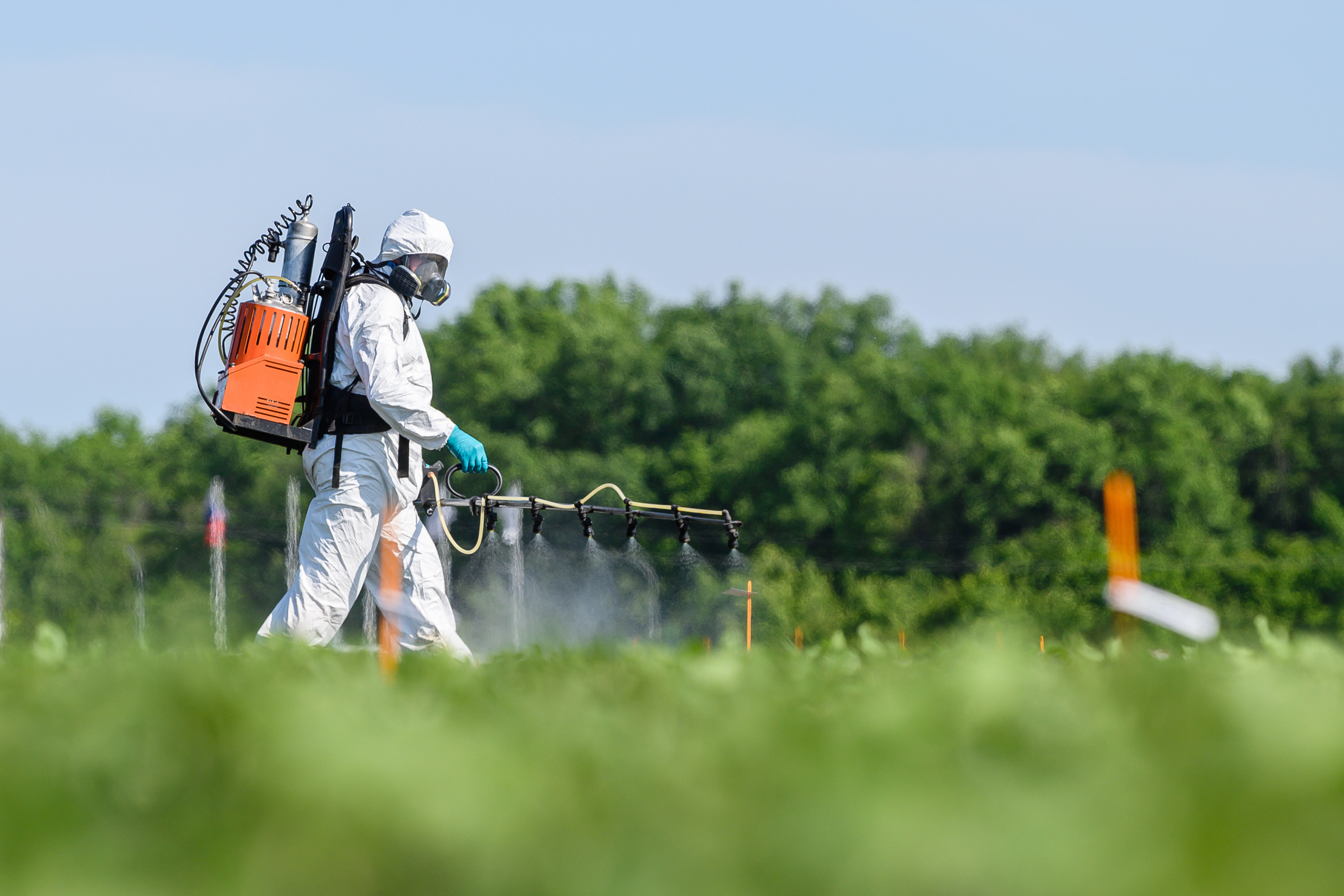 фотосъемка для агропредприятий, фотосъемка сельхозпродукции, фотосъемка для агробизнеса, фотосъемка для сельхозпроизводителей, агрофото, фотосъемка для сельхозкомпаний, фотосъемка сельхозтехники, фотосъемка урожая, агрофотосъемка