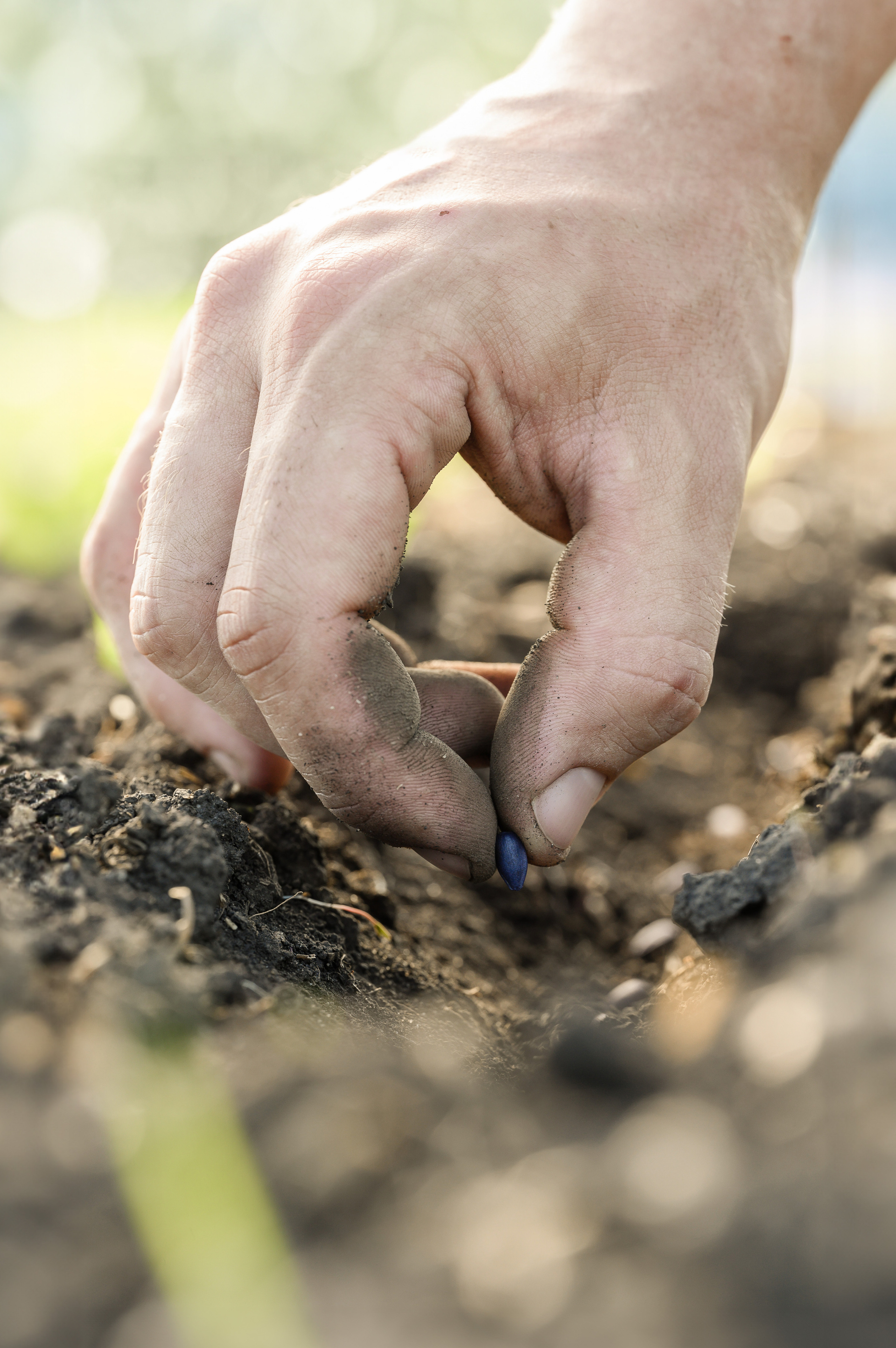 фотосъемка для агропредприятий, фотосъемка сельхозпродукции, фотосъемка для агробизнеса, фотосъемка для сельхозпроизводителей, агрофото, фотосъемка для сельхозкомпаний, фотосъемка сельхозтехники, фотосъемка урожая, агрофотосъемка