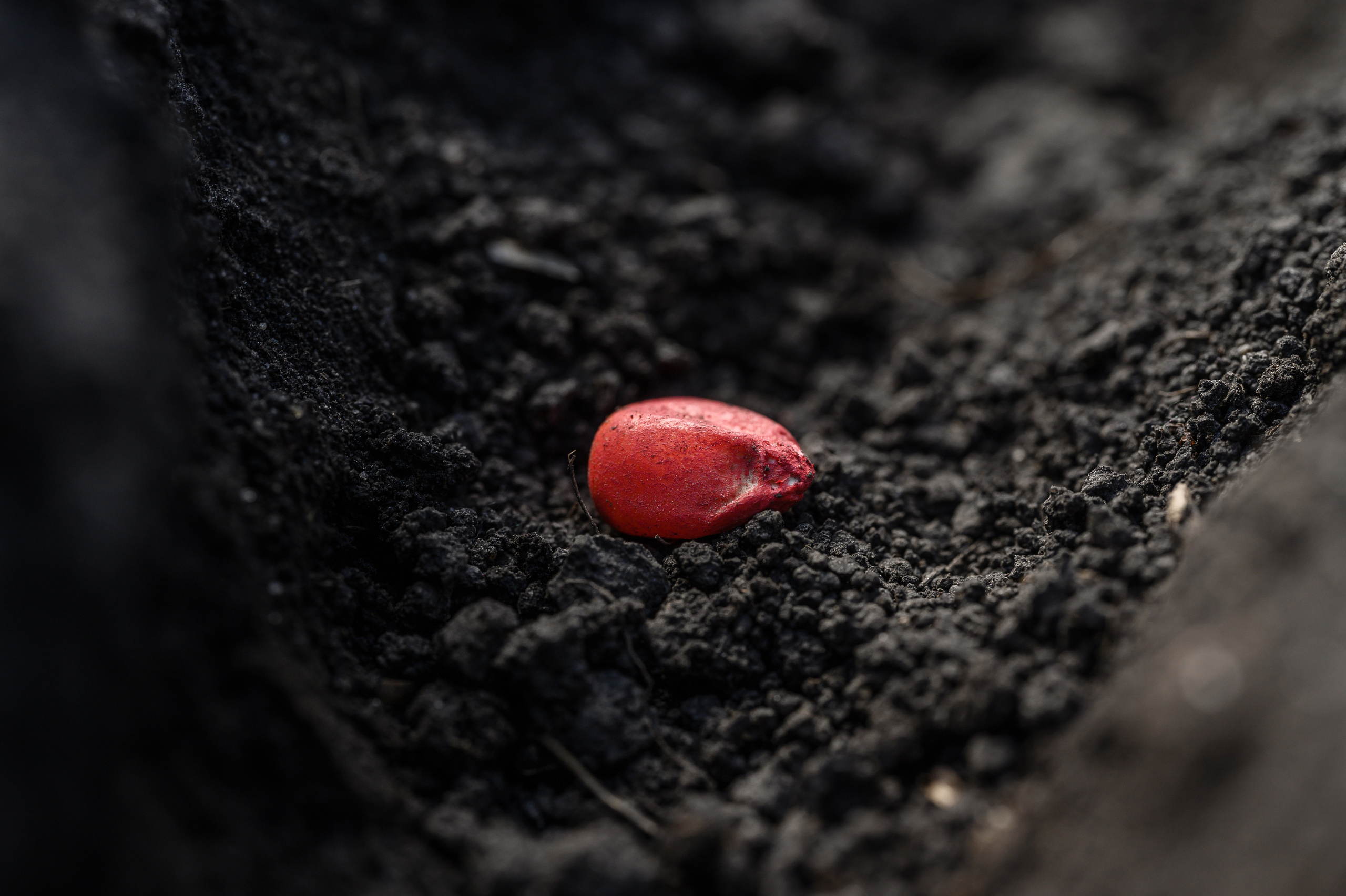 фотосъемка для агропредприятий, фотосъемка сельхозпродукции, фотосъемка для агробизнеса, фотосъемка для сельхозпроизводителей, агрофото, фотосъемка для сельхозкомпаний, фотосъемка сельхозтехники, фотосъемка урожая, агрофотосъемка