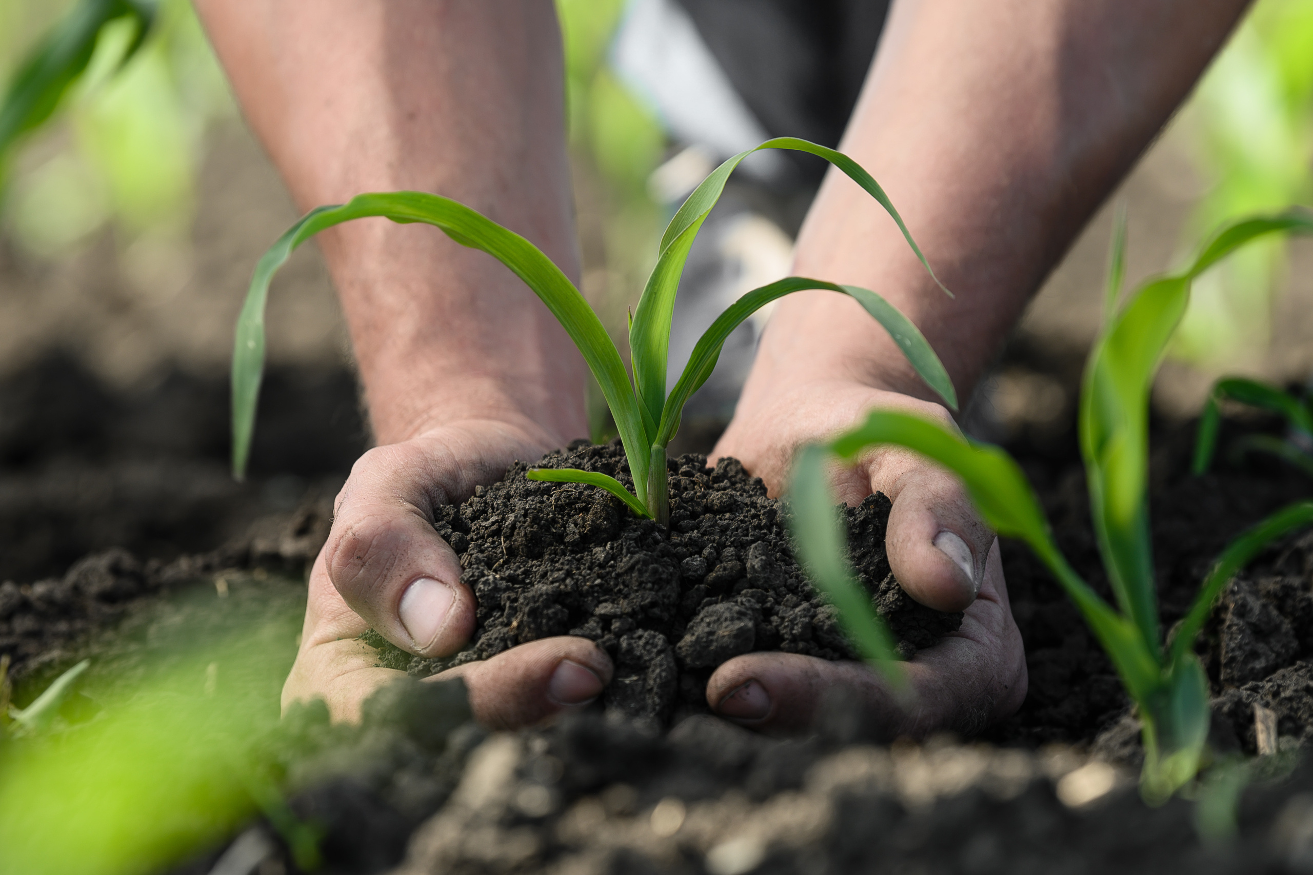 фотосъемка для агропредприятий, фотосъемка сельхозпродукции, фотосъемка для агробизнеса, фотосъемка для сельхозпроизводителей, агрофото, фотосъемка для сельхозкомпаний, фотосъемка сельхозтехники, фотосъемка урожая, агрофотосъемка