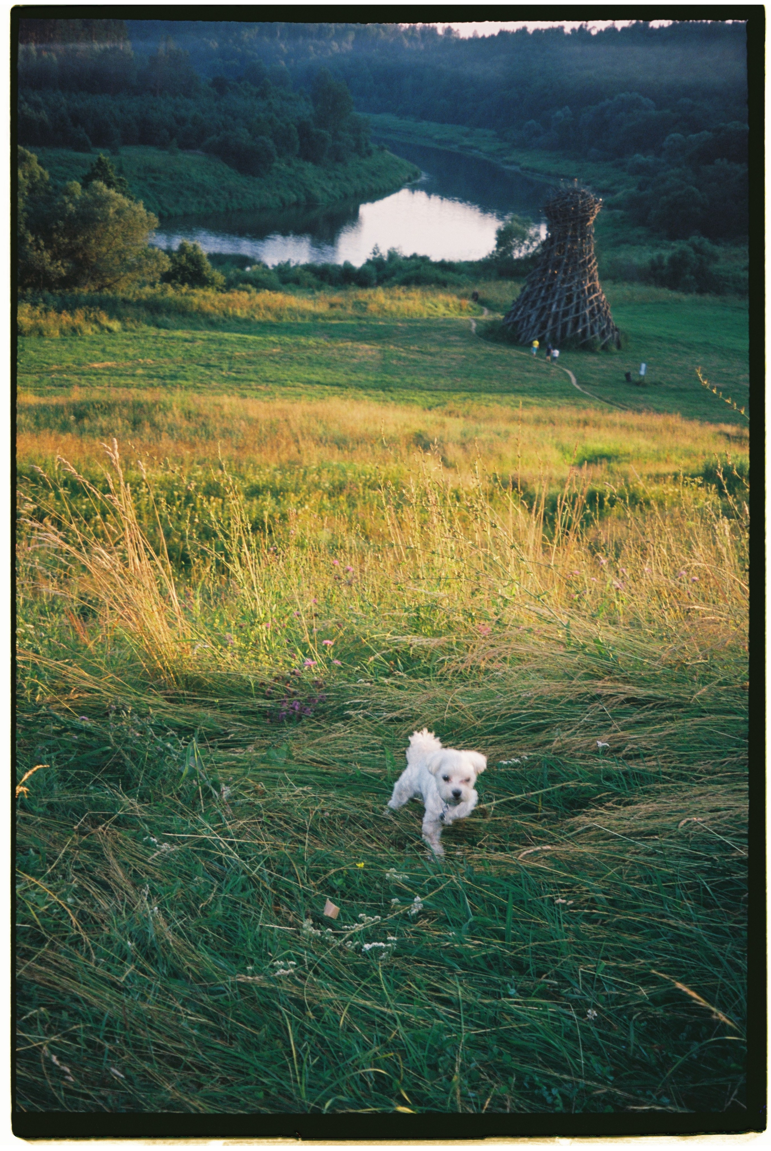 Film chronicle. Kosky ilya