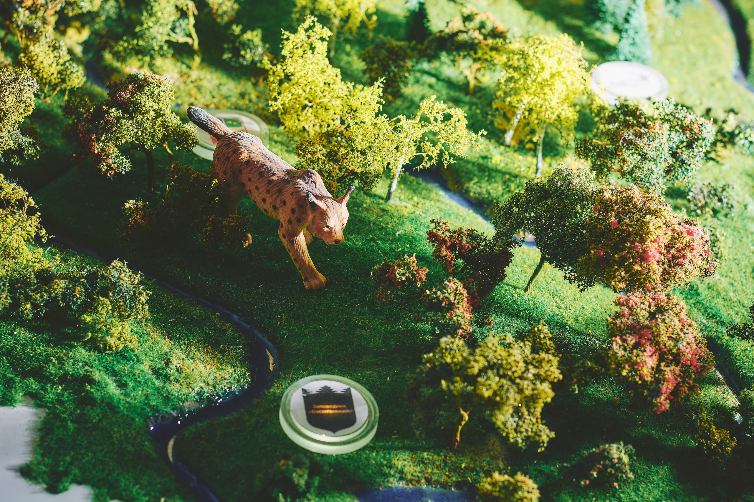 Интерьерная съемка Визит-центр Национальный парк «Кисловодский». Константин Кордонский | Интерьерный и food-фотограф в Кисловодске и КМВ