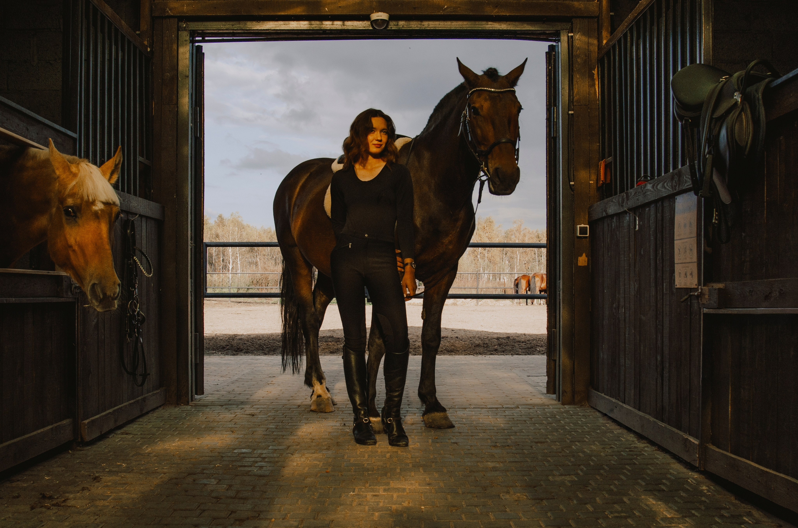 Дом-музей лошадей Хуторъ. Фотографы в Тюмени Андрей и Лидия Войвод