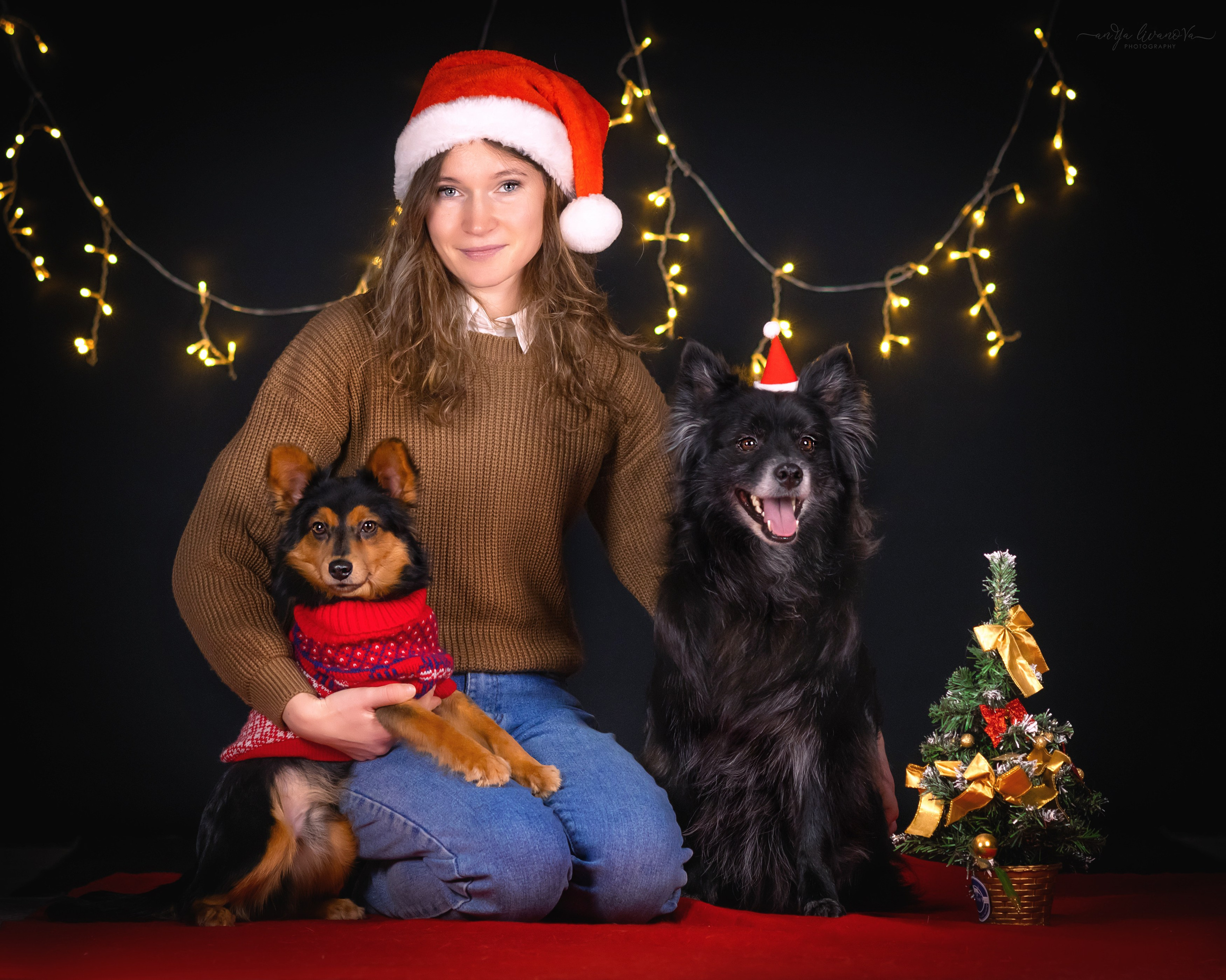 Новогодняя атмосфера в «Simply the Best». Фотограф анималист Аня Ливанова | Рыбинск