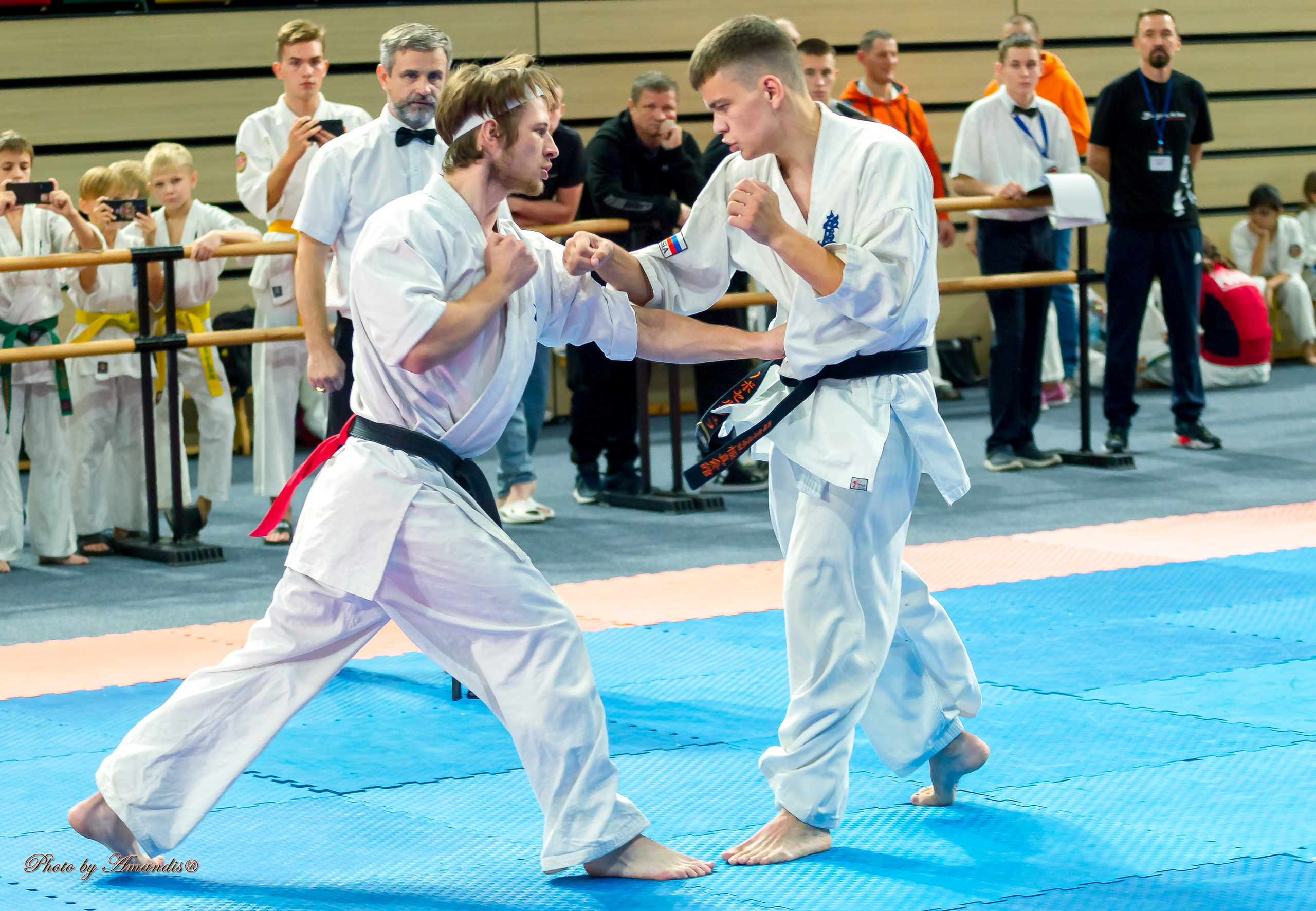 Первенство Московской области по Киокушин в СК «Жаворонки». Репортажная съемка в Москве и области. Анималистика