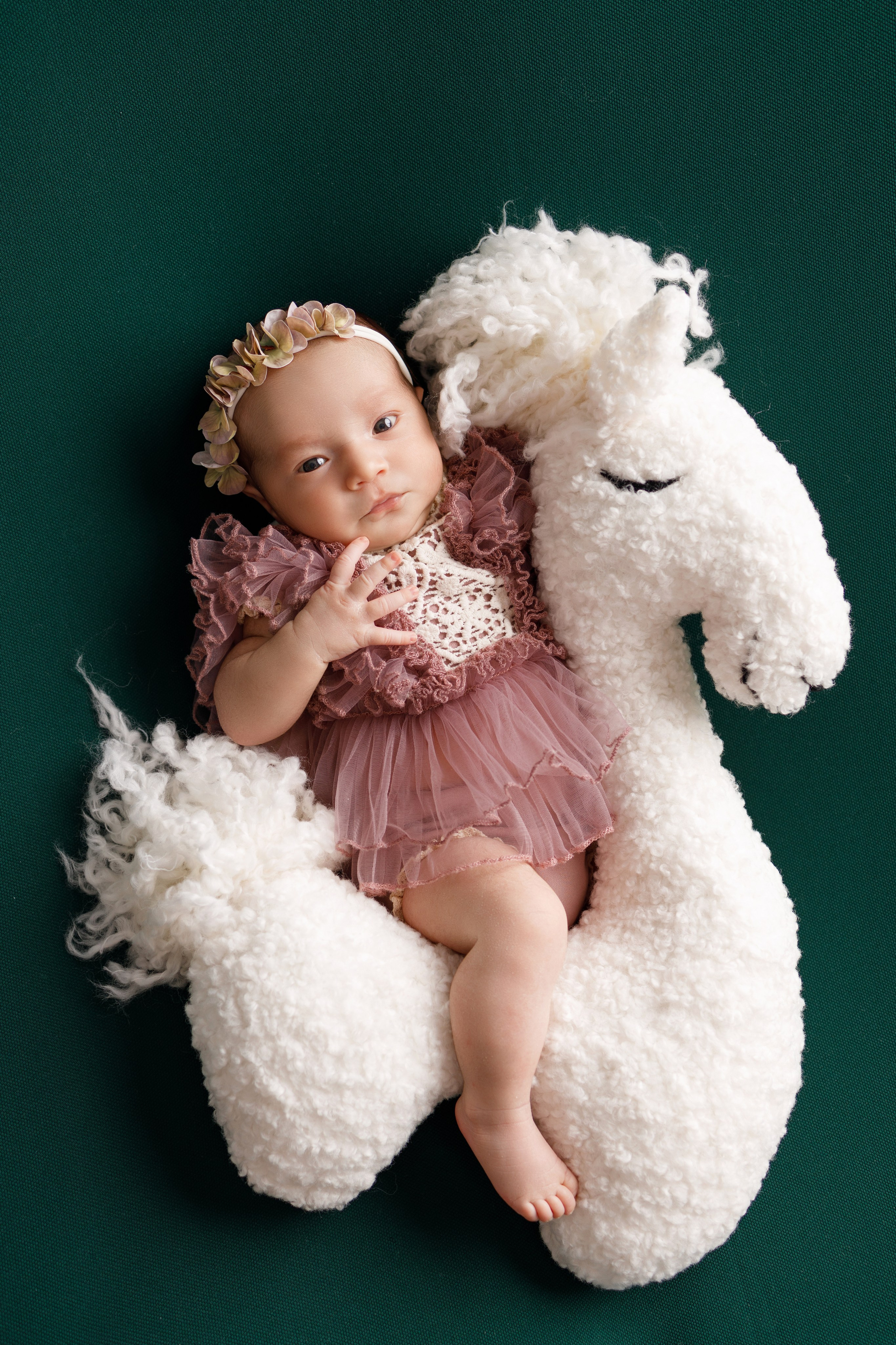 Новорожденные. Фотограф новорожденных в Чебоксарах Елена Смолина