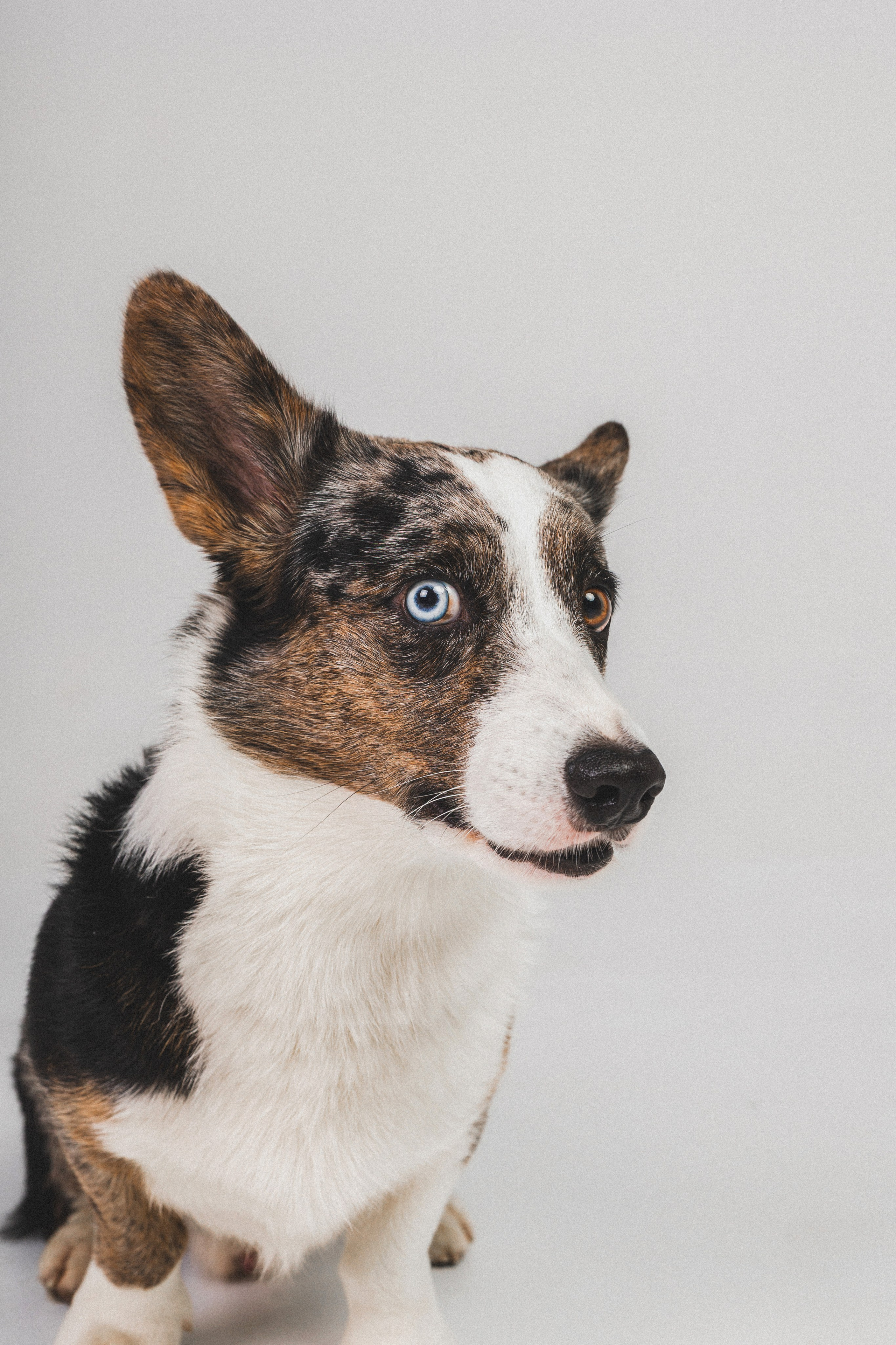 Анатолий и Рагнар