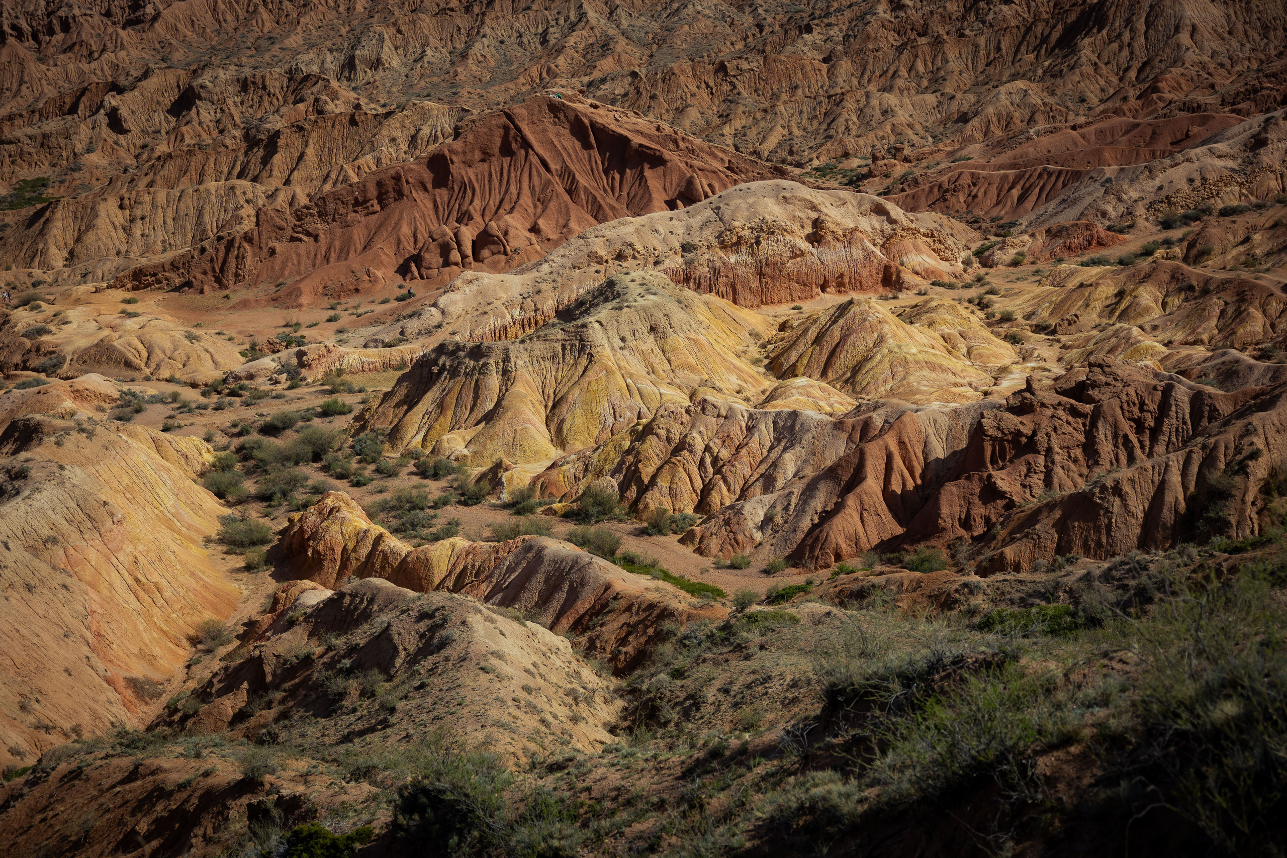 Кыргызстан (весна 2025). Фотограф Виноградов Константин