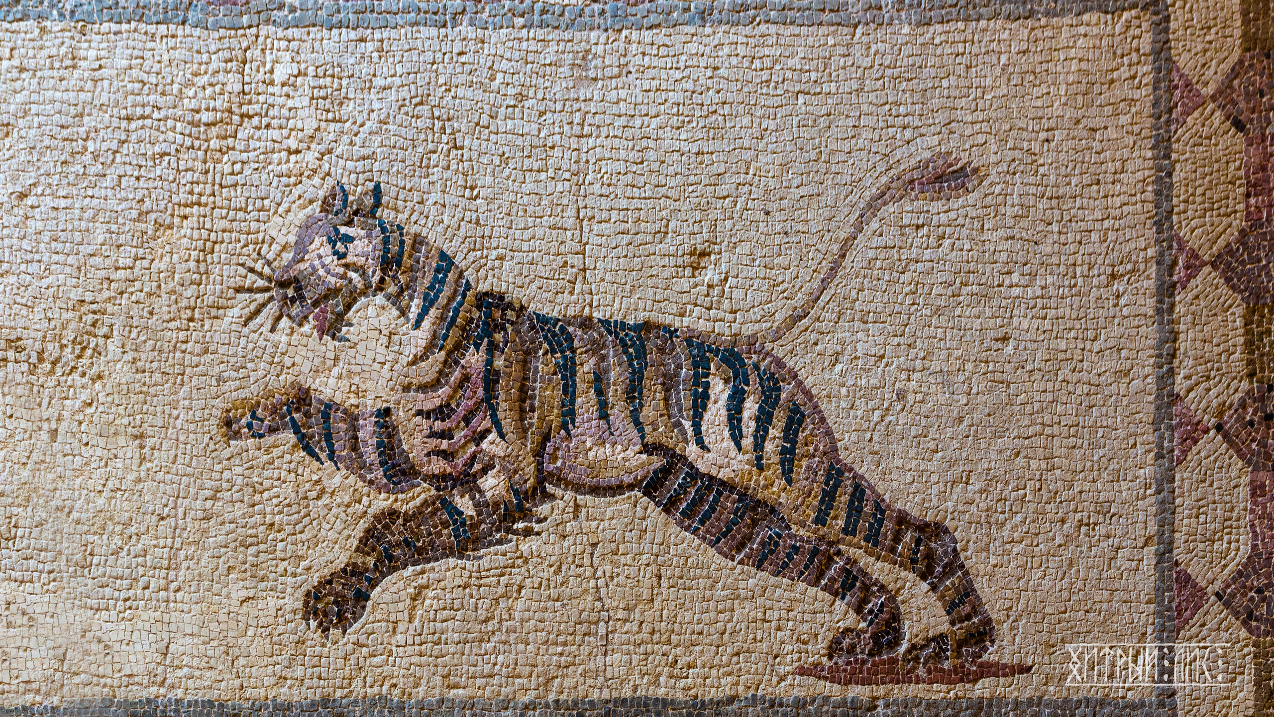 Кипр. Фотограф-путешественник Самойлов Максим «Sly Fox»