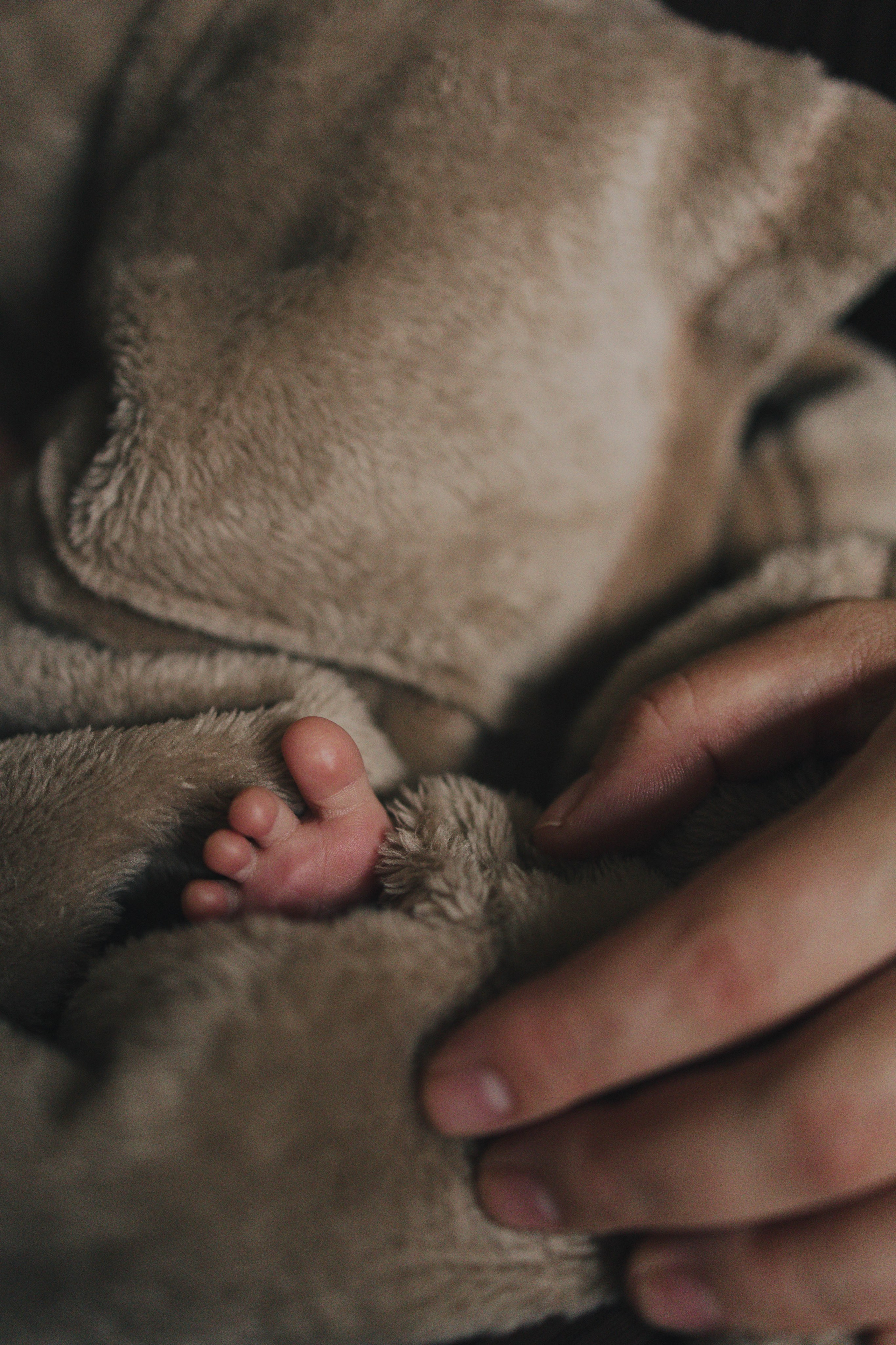 Фотосессия в честь рождения Ромы. Семейный и детский фотограф в Москве Маргарита Сереброва