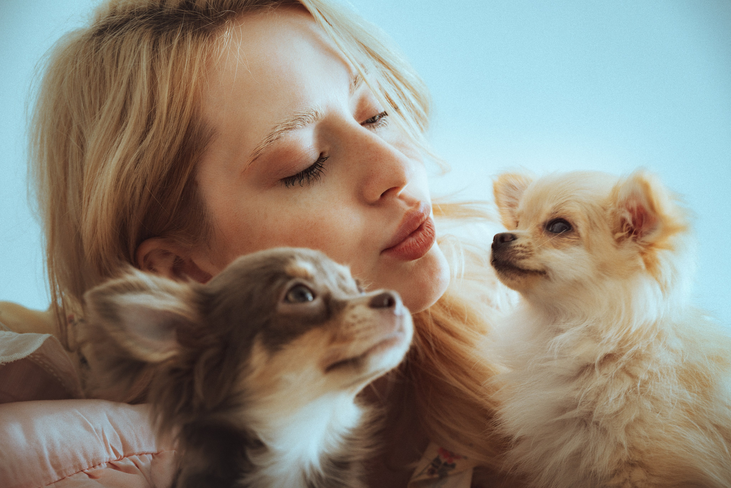 Съемка с собаками, животными