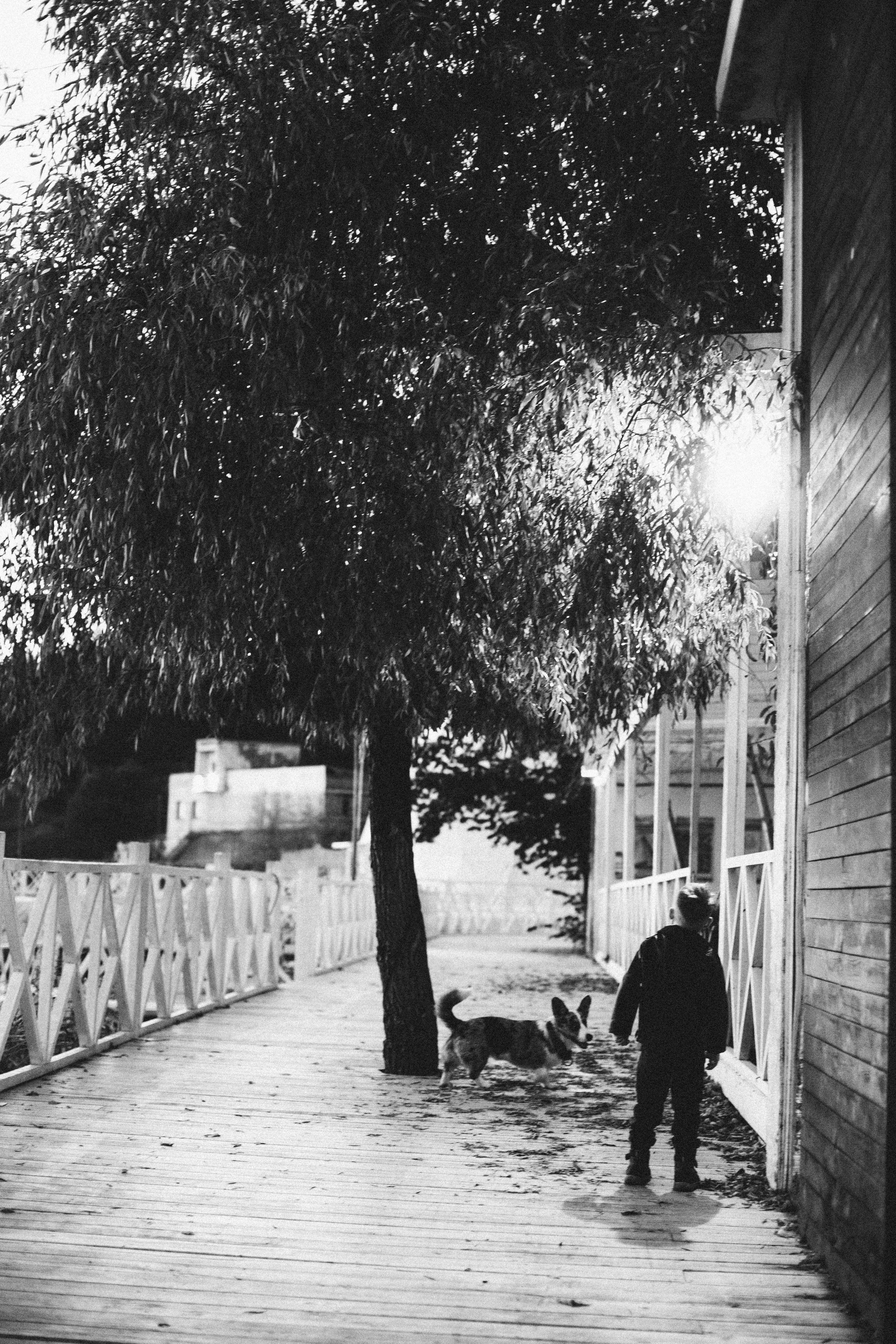 Хороший вечер. Семейный и портретный фотограф в Новосибирске Мария Хлебус