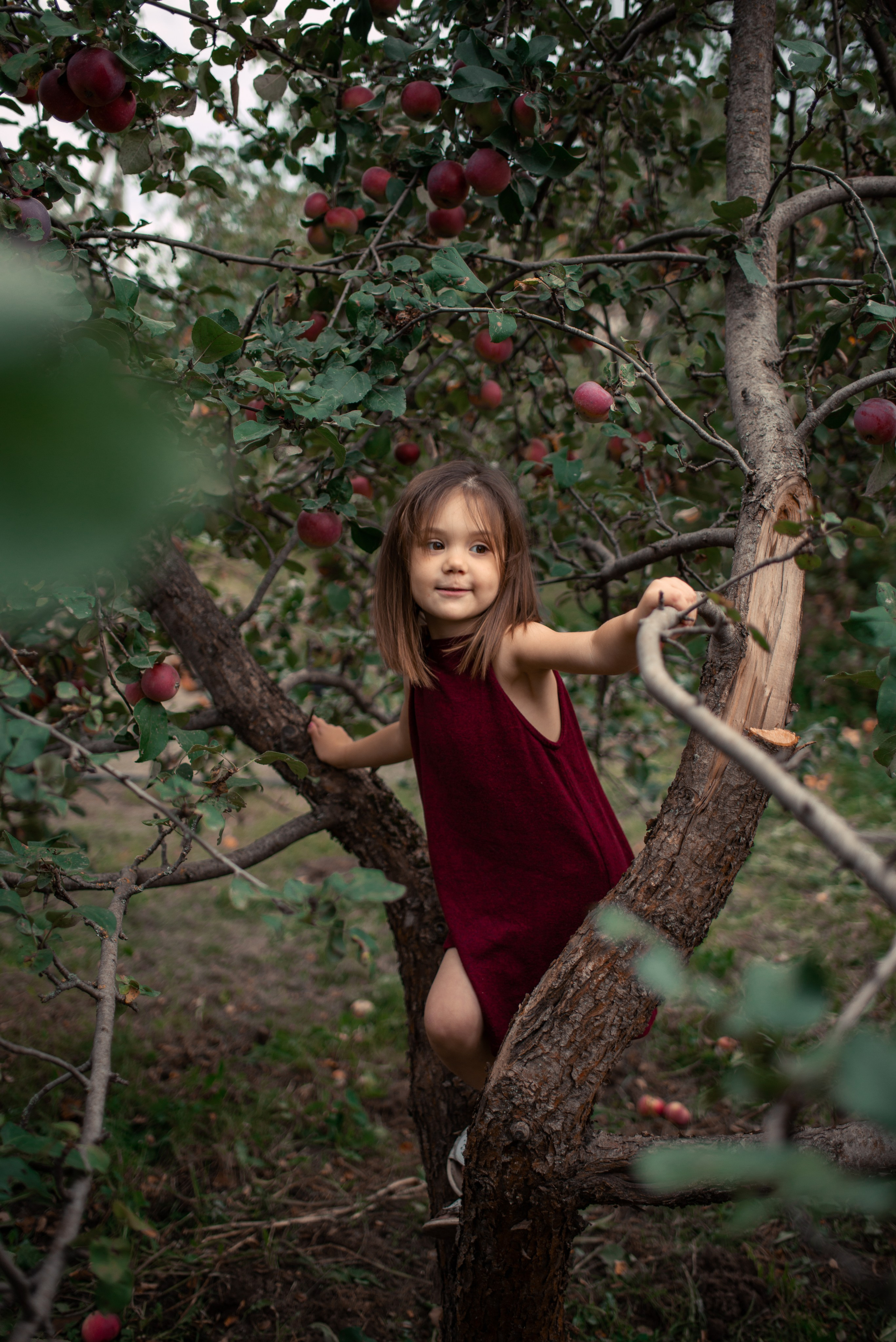 Семейная фотосъемка. Семейный фотограф Псков. Спб.|Анастасия Войналович