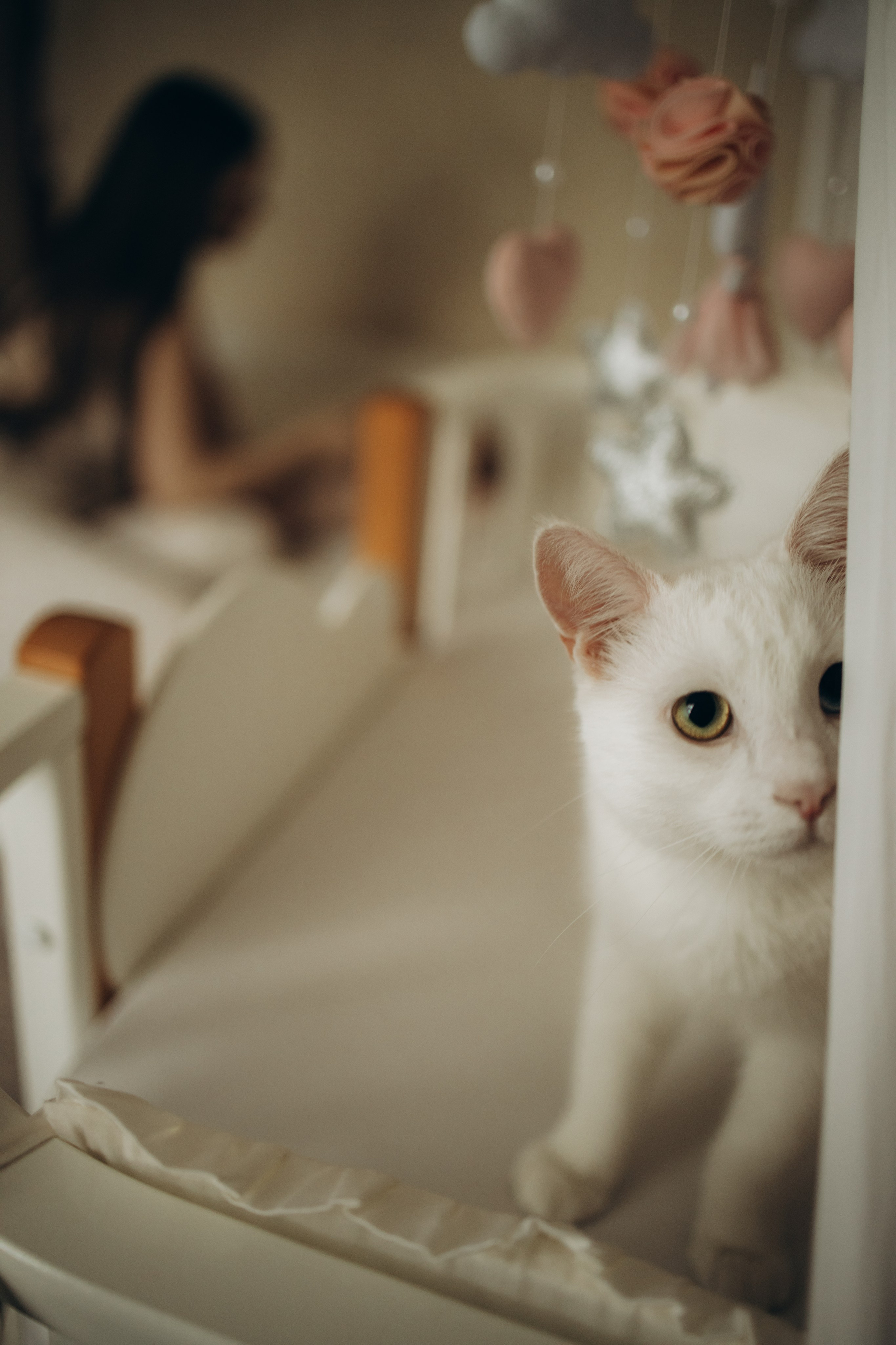 Домашняя фотосессия. Семейный и Детский фотограф в Краснодаре Дарья Насаченко